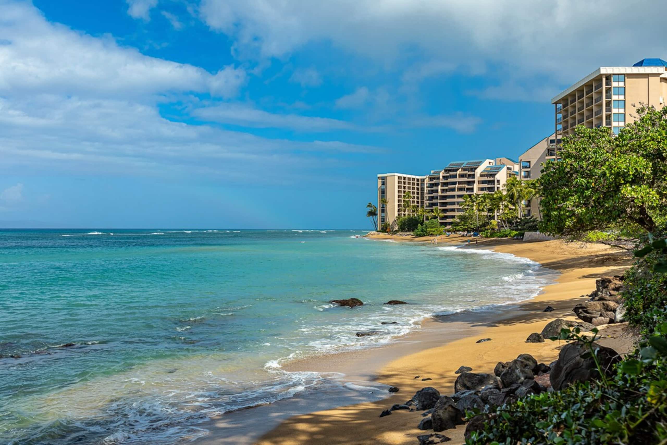 Oceanfront condo w/ lanai and pool access - Photo 49