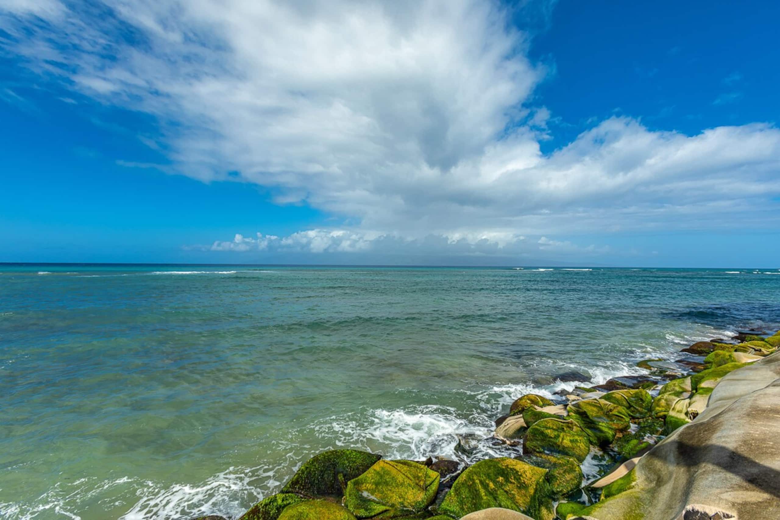 Oceanfront condo w/ lanai and pool access - Photo 51