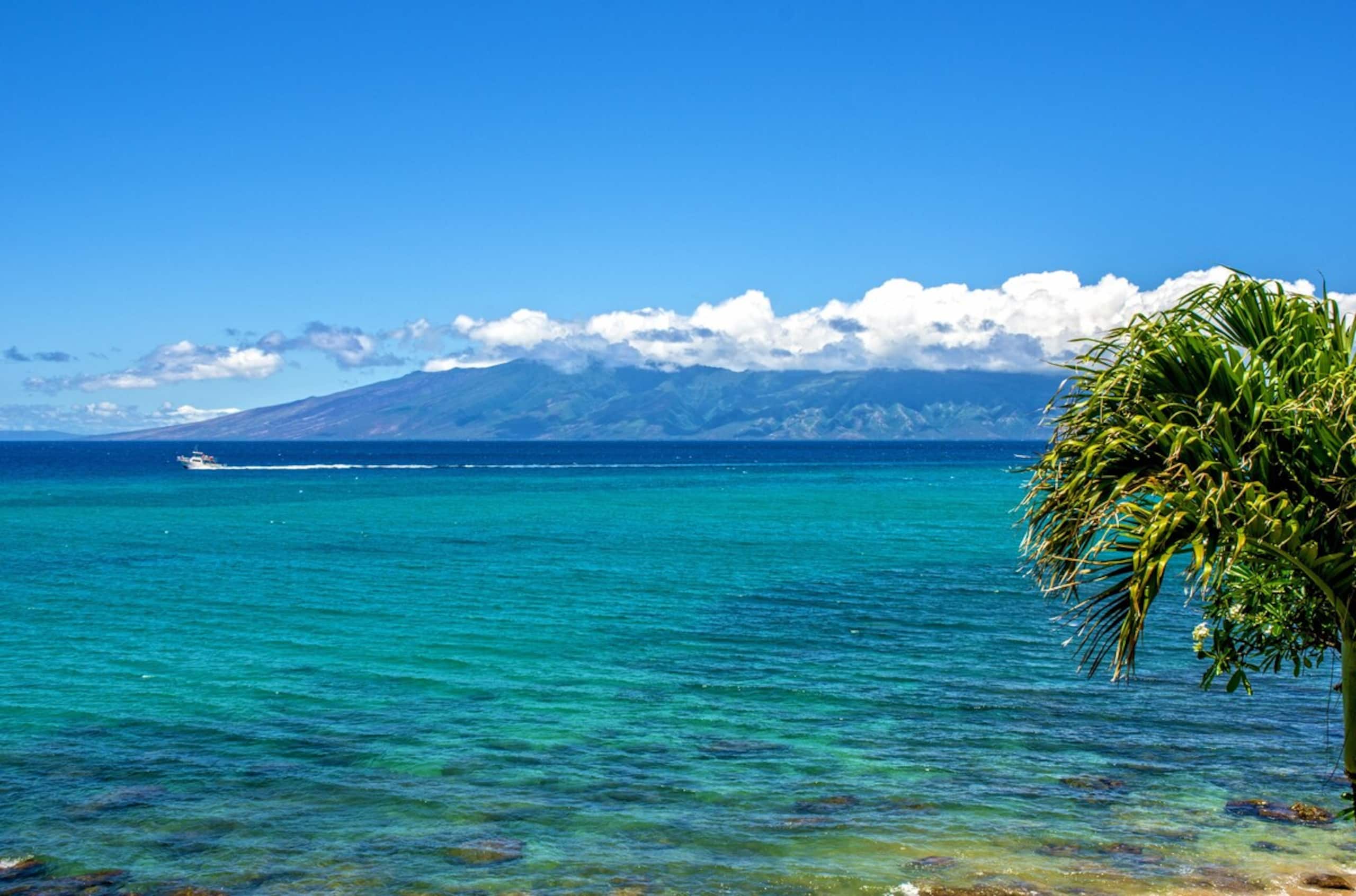 Oceanfront Kuleana 413 Great West Maui Condo - Photo 24