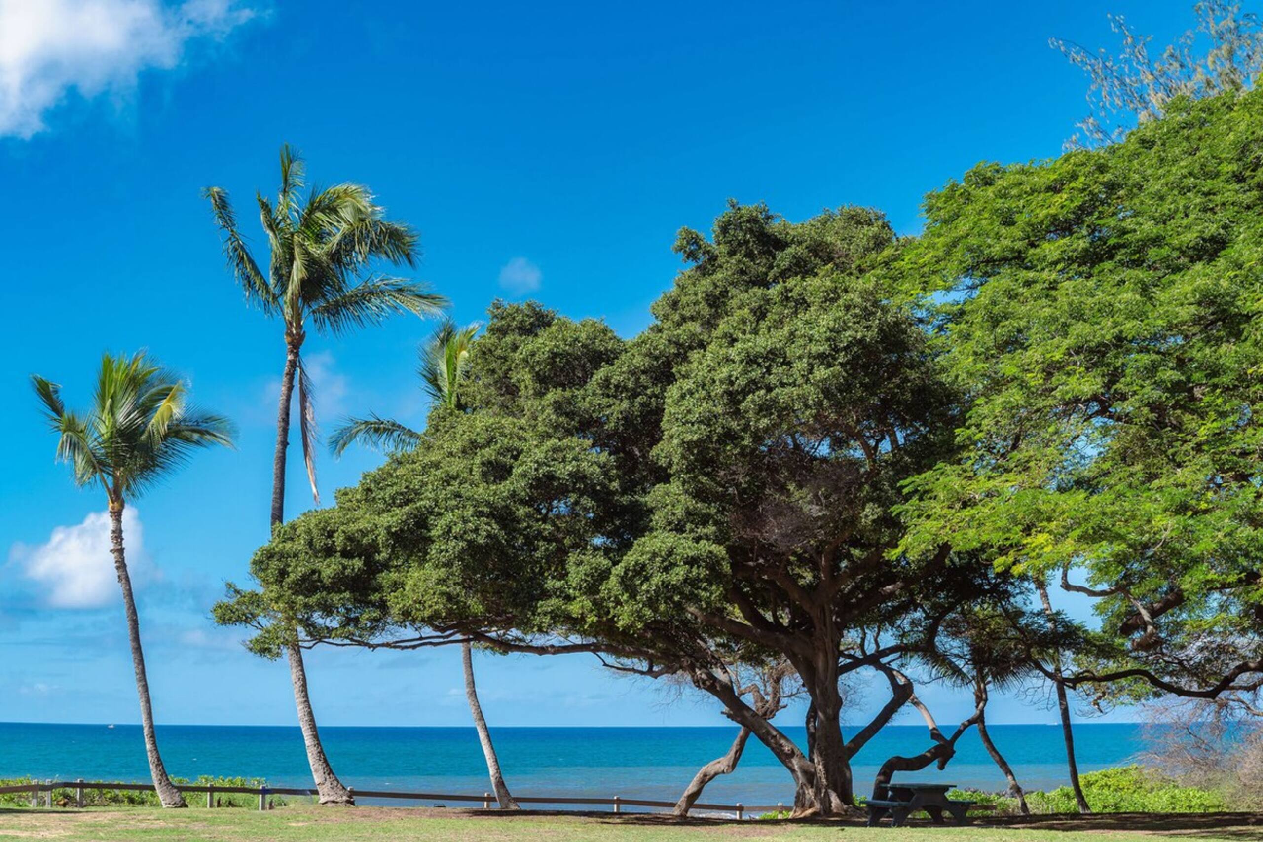 Haleakala Shores A-302 - Stunning Ocean View Condo - Photo 45