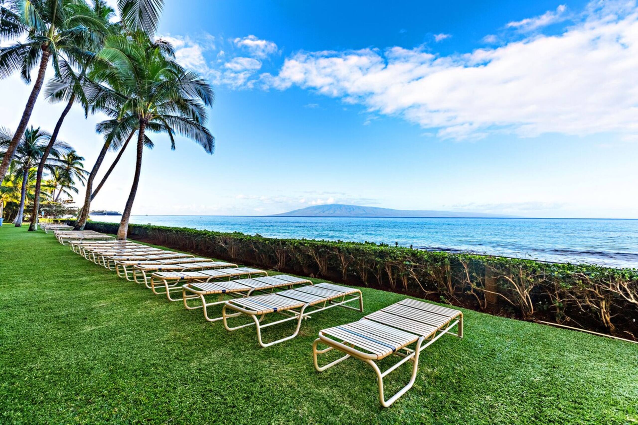 Resort-Style Luxury with Stunning Ocean Views - Photo 36