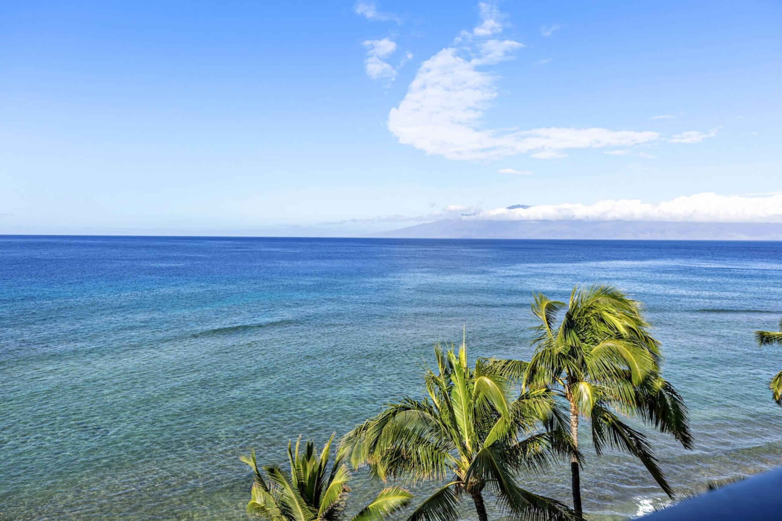 Resort-Style Luxury with Stunning Ocean Views - Photo 11
