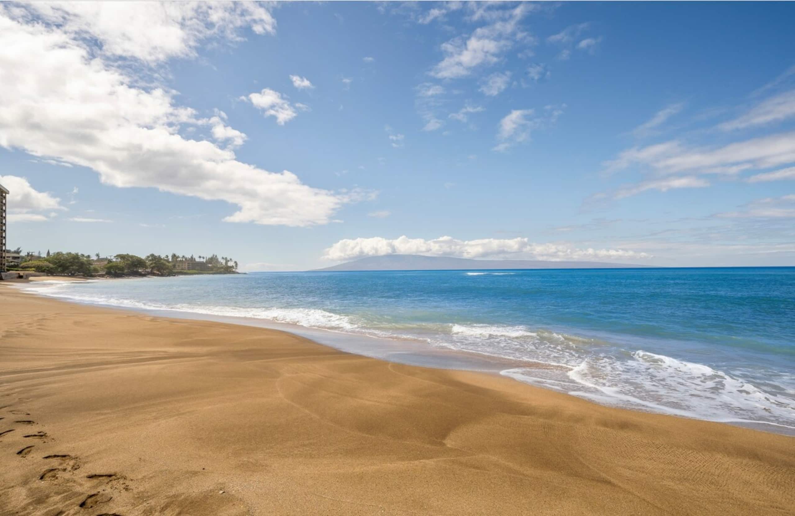 Driftwood Oceanfront - Photo 38