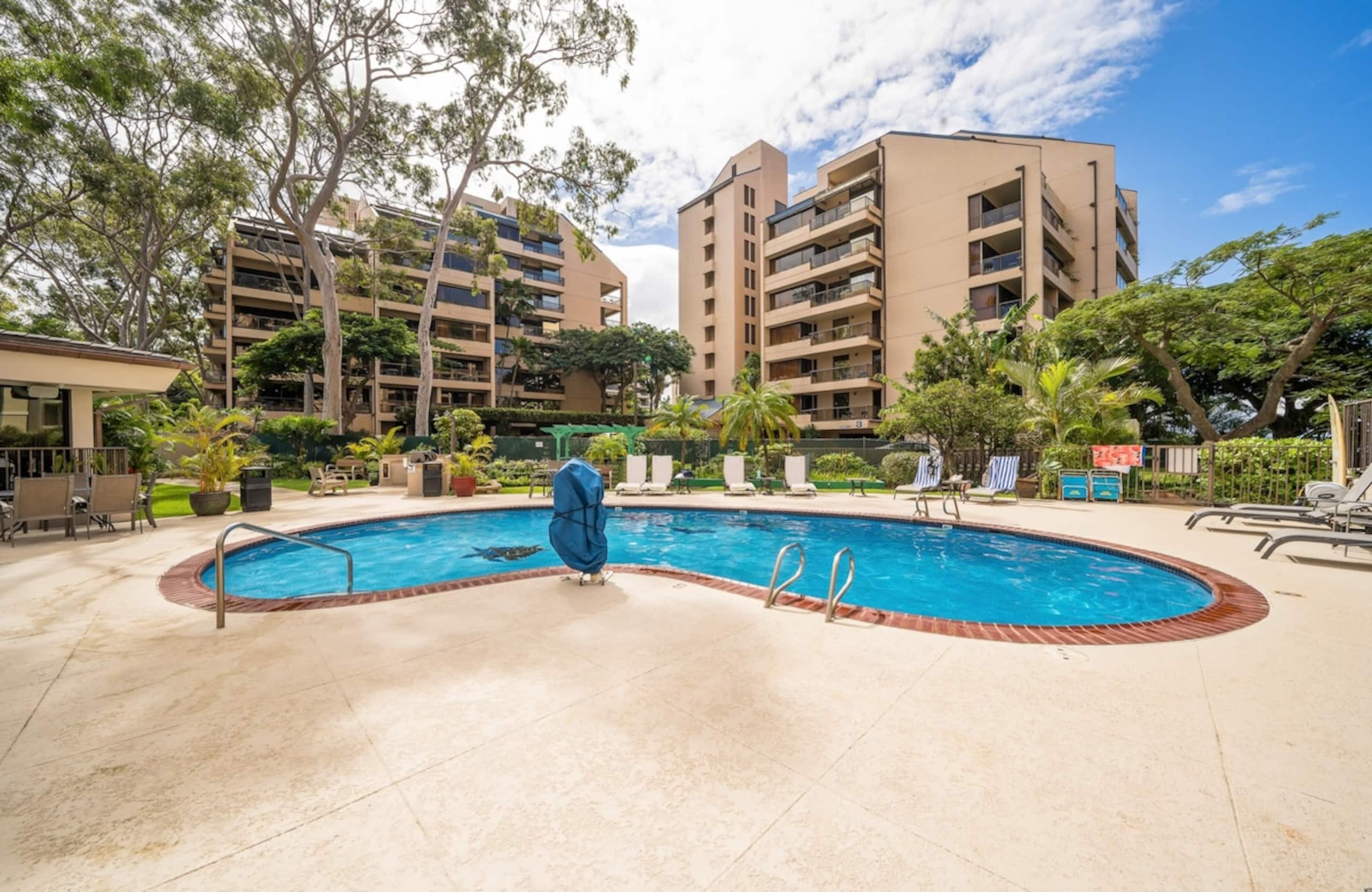 Driftwood Oceanfront - Photo 26
