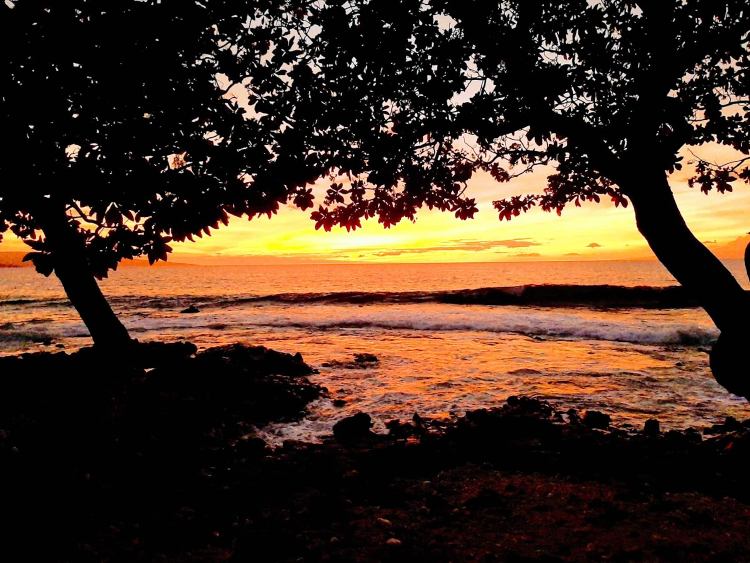 *Kamaole Sands*-Ground Level Unit - Photo 37