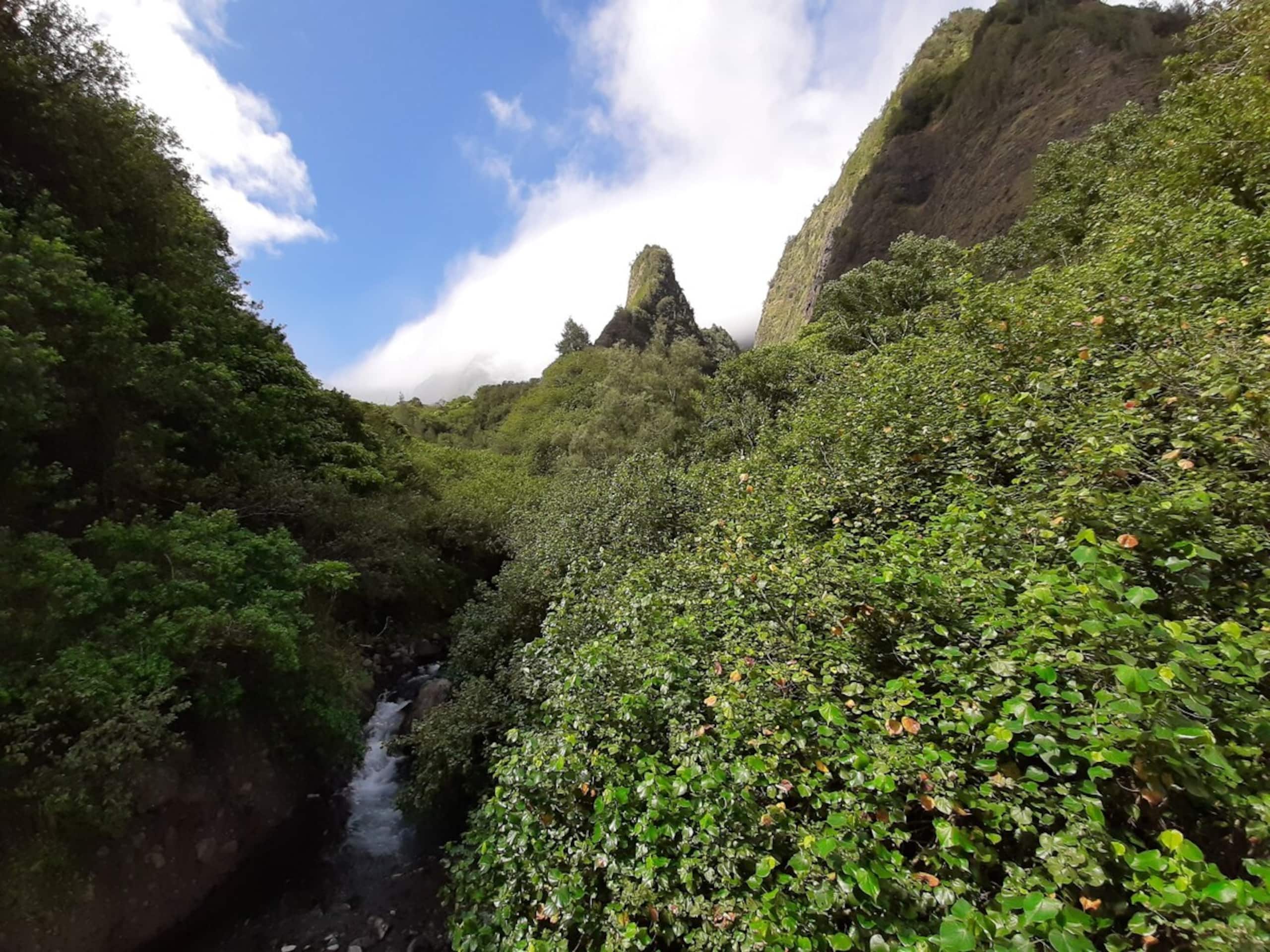 *Kamaole Sands*-Ground Level Unit - Photo 42