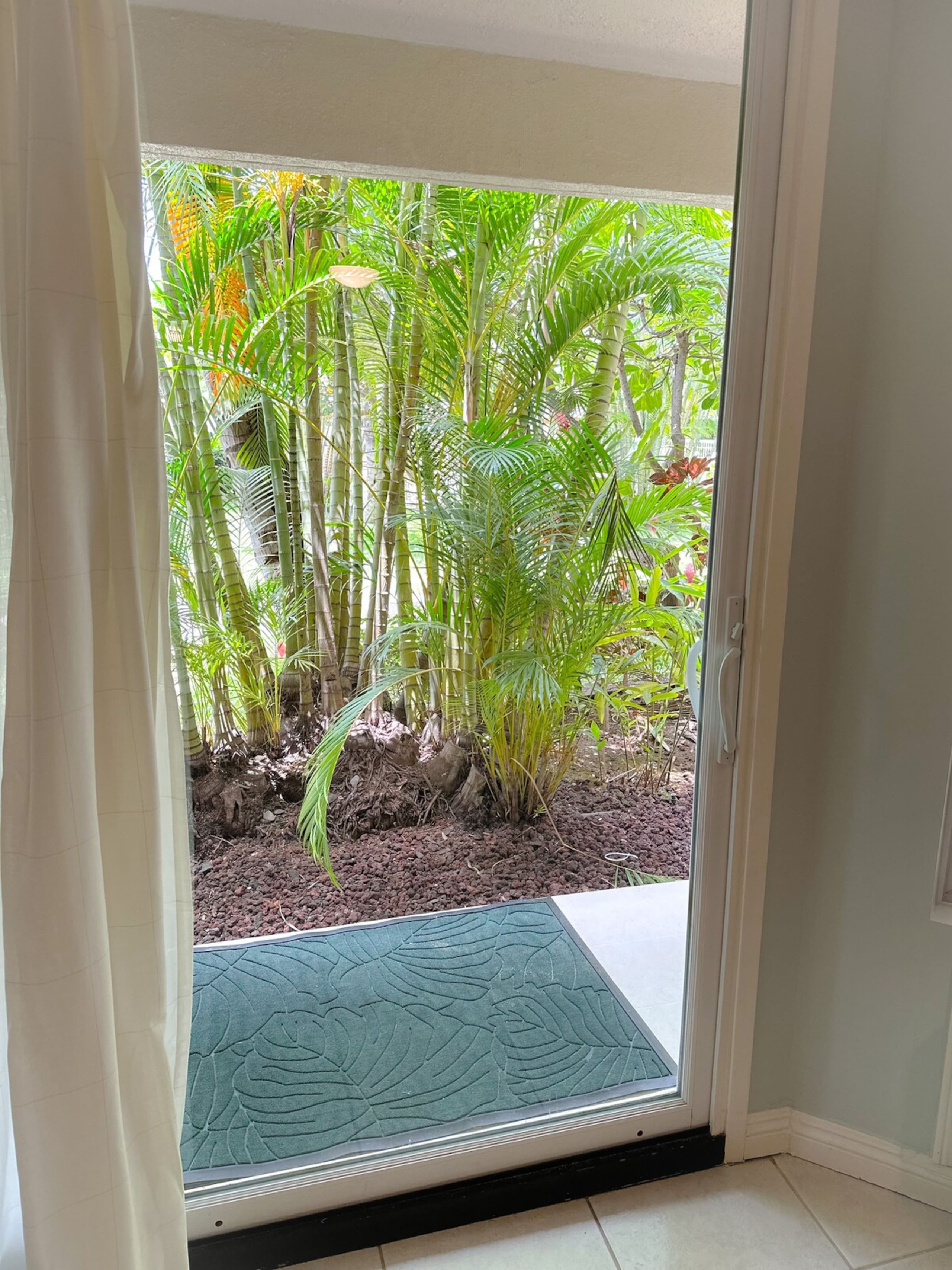 Entire 2bd/2ba condo in Kihei Steps at Kamaole II - Photo 15