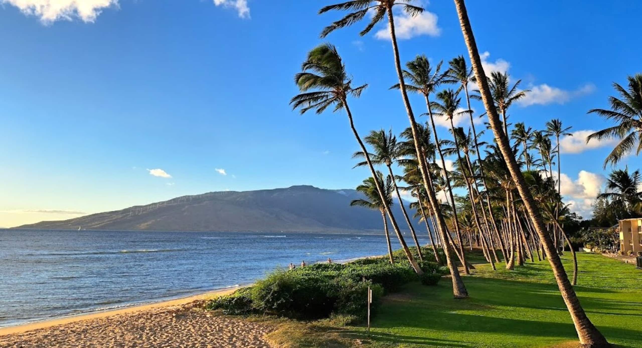 Kihei Garden Estates - 1 Bd/1 Ba Steps to Beach - Photo 17