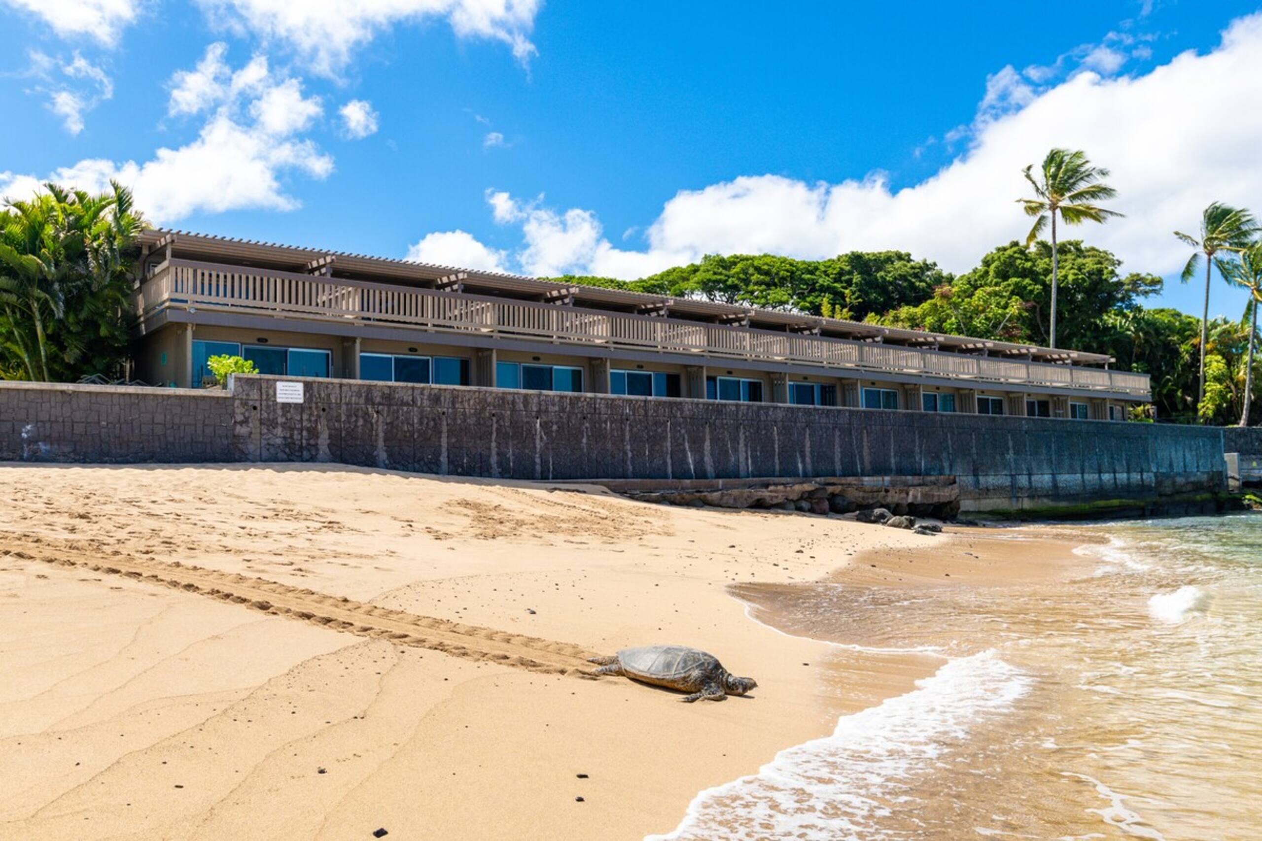 Beachfront 2BR Townhouse w/ Ocean Sunset Views - Photo 36