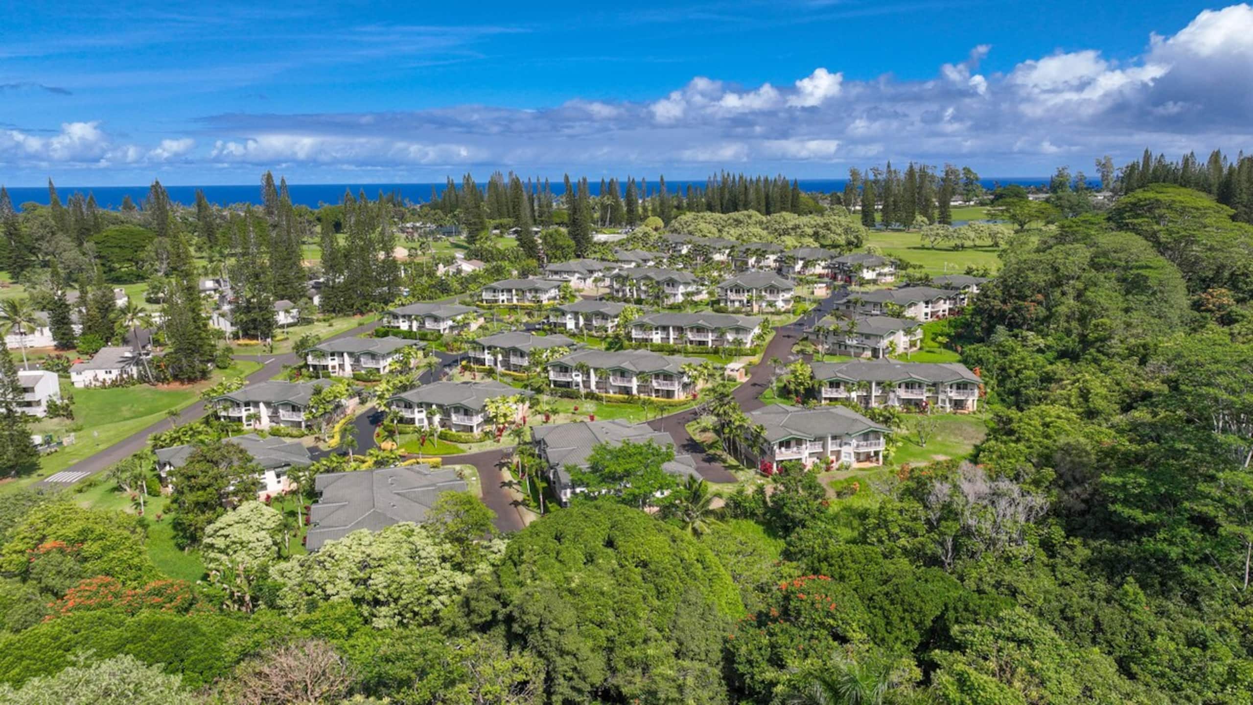 Beautiful Luxury Air Conditioned Apartment, Kauai - Photo 21