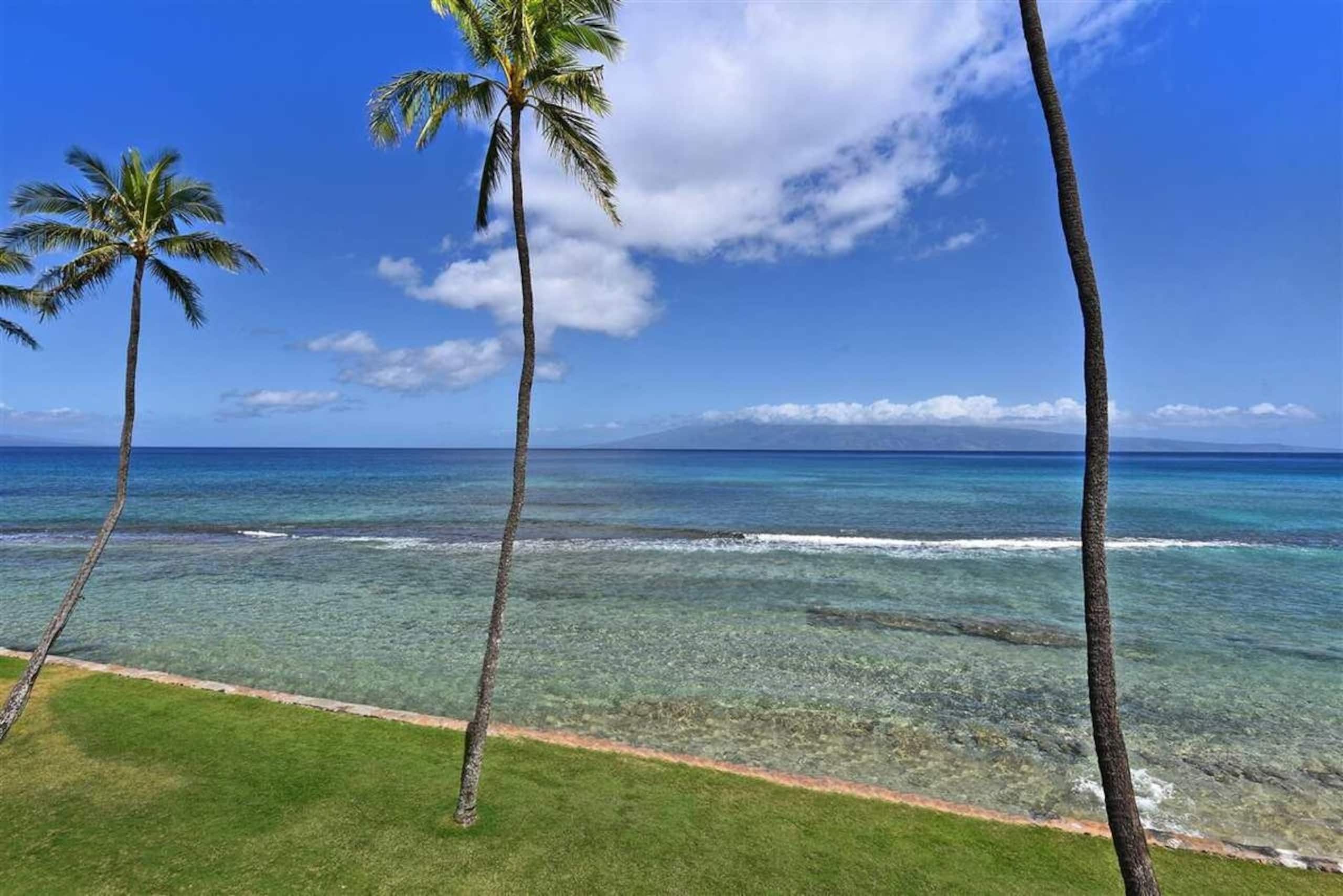 180-Degree Oceanfront View, Corner Unit - Photo 30
