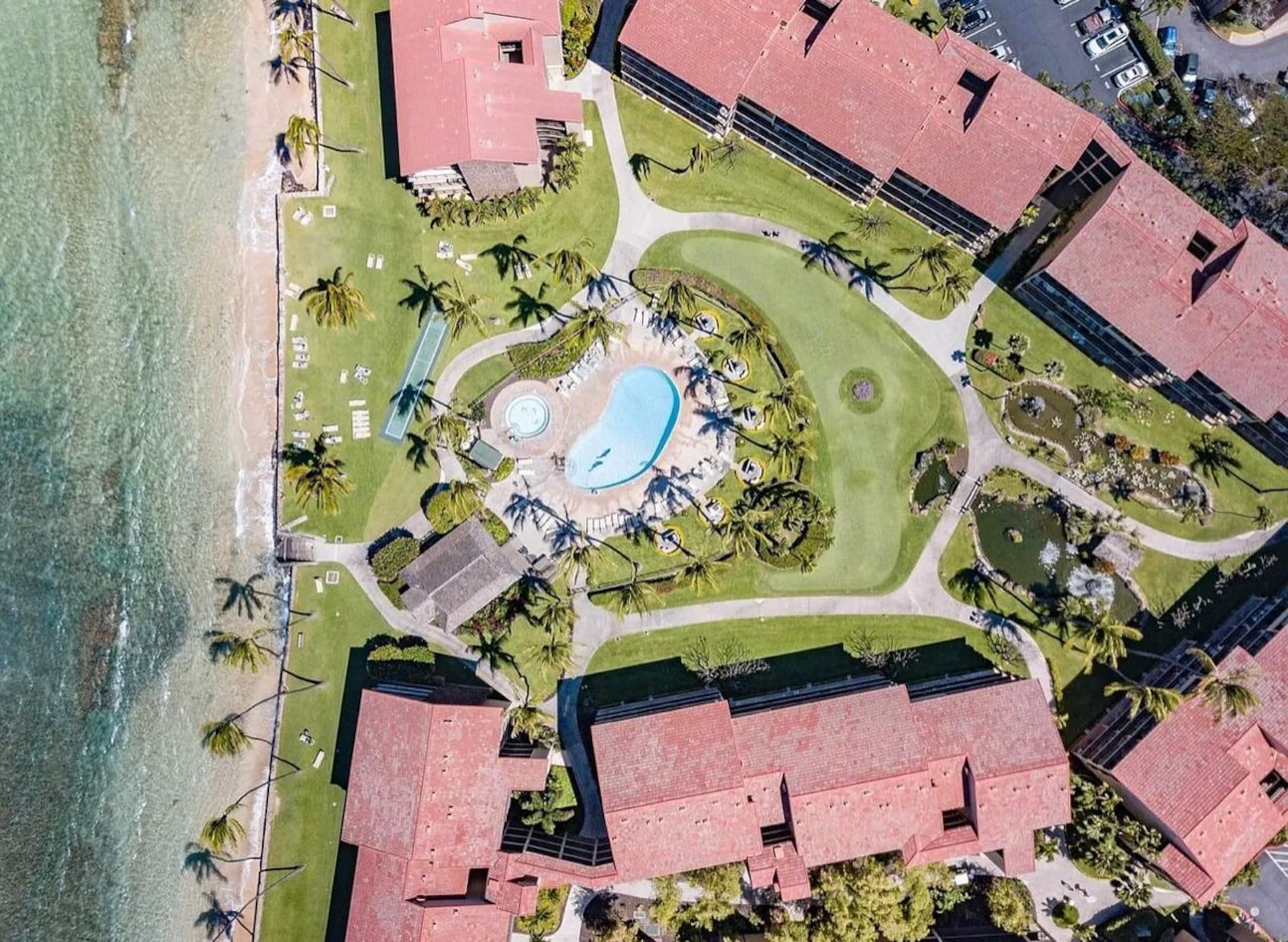 180-Degree Oceanfront View, Corner Unit - Photo 24