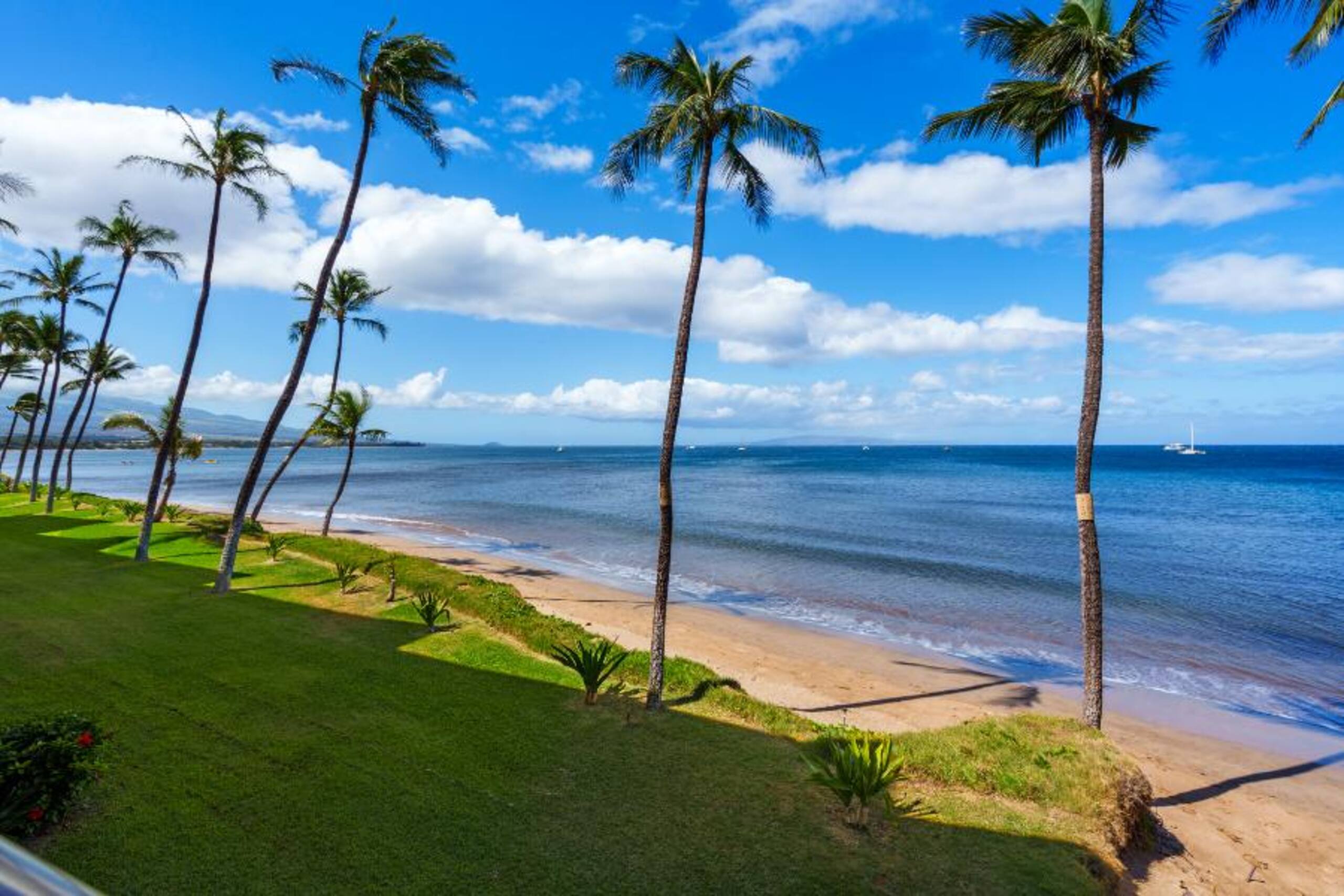 Steps Away From the Ocean-Sugar Beach 235 - Photo 15