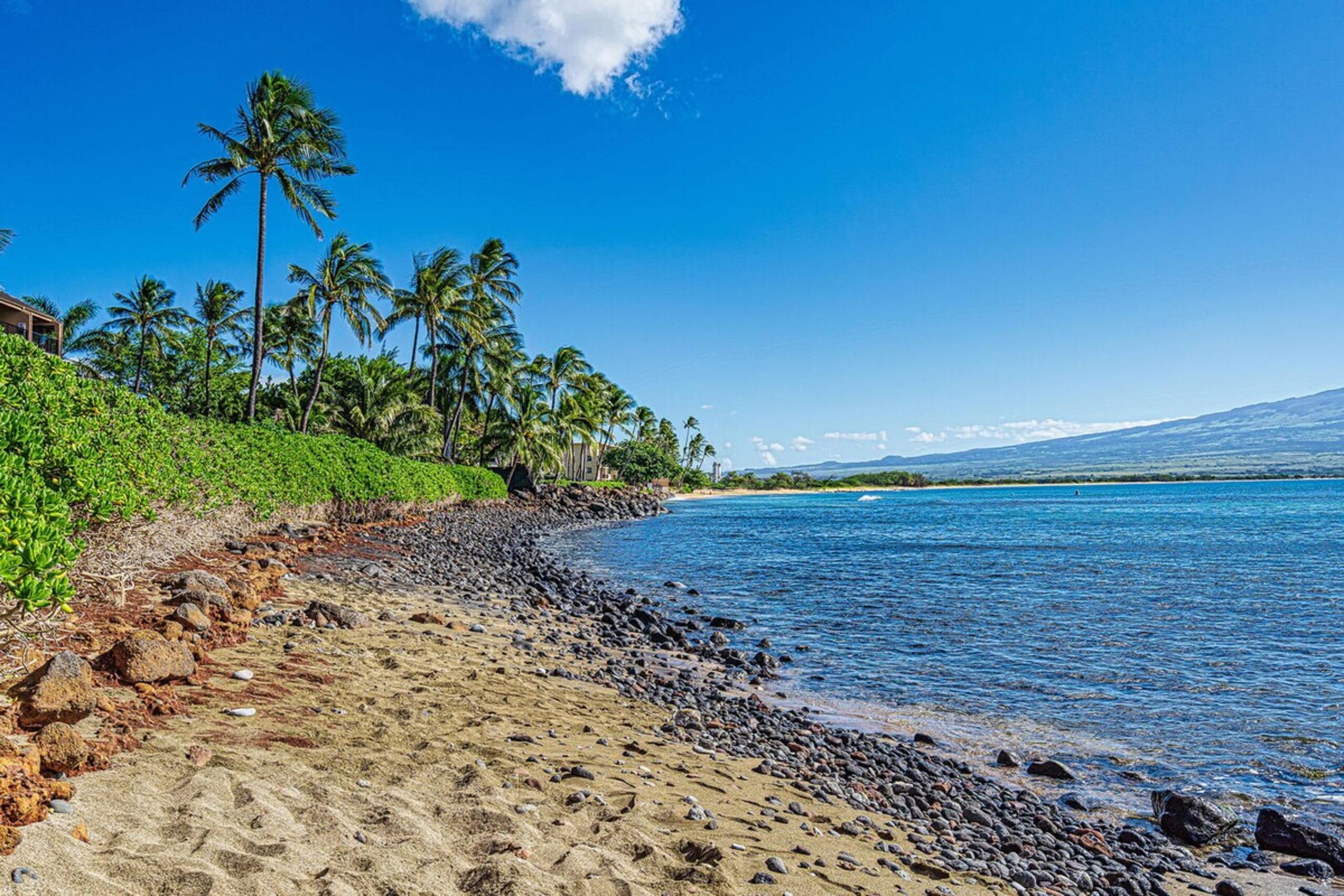Ocean Front & Budget Friendly Maalaea Banyans 204 - Photo 47