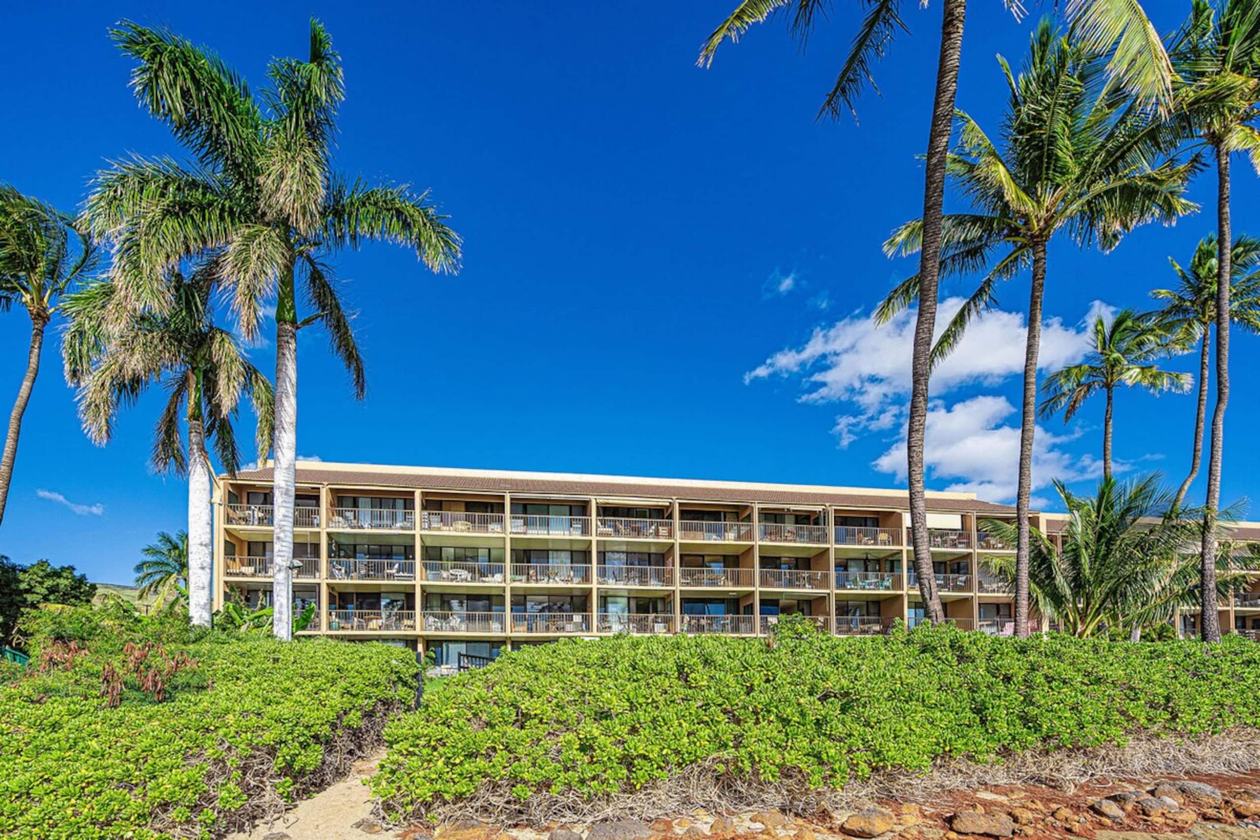 Ocean Front & Budget Friendly Maalaea Banyans 204 - Photo 27