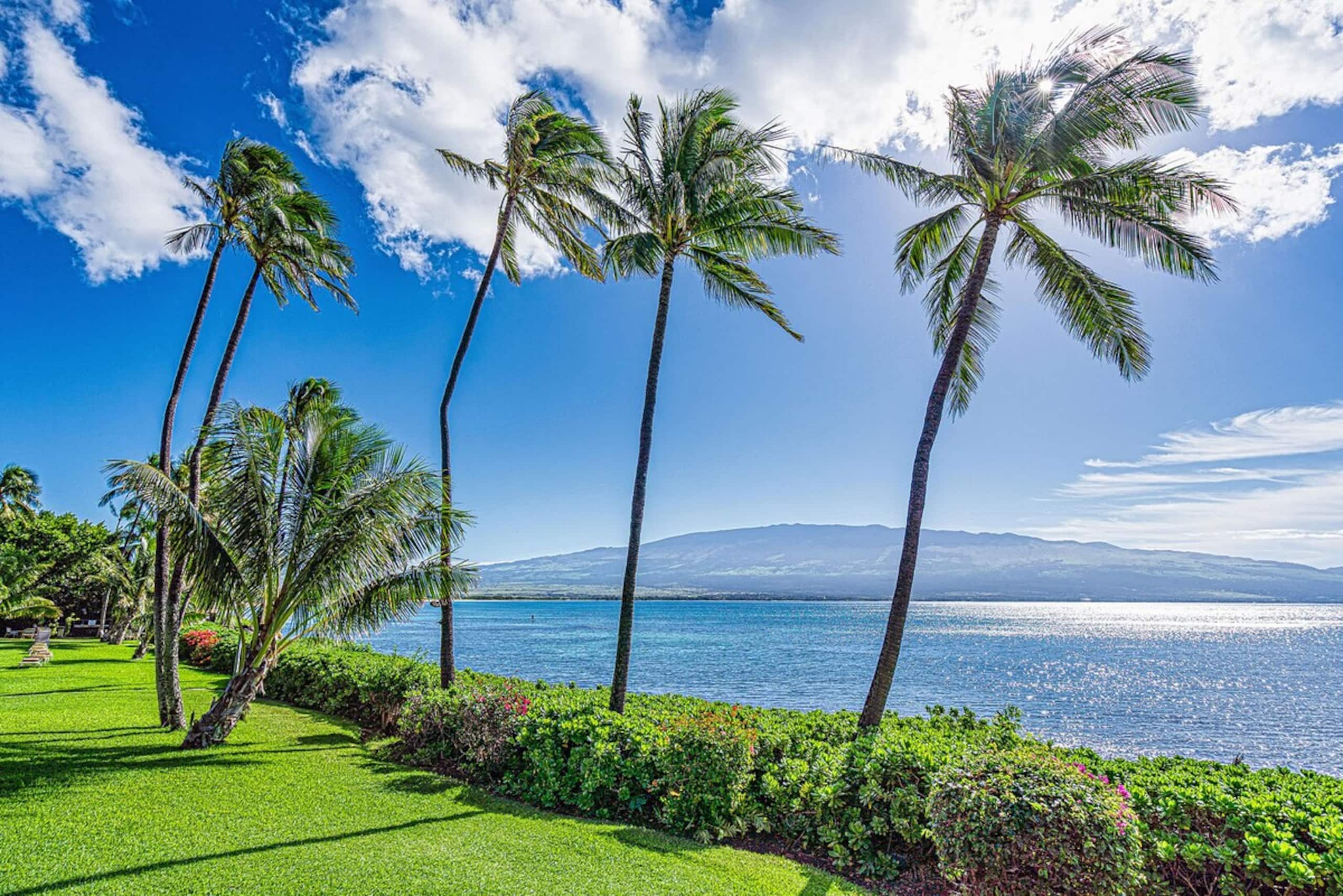 Ocean Front & Budget Friendly Maalaea Banyans 204 - Photo 53