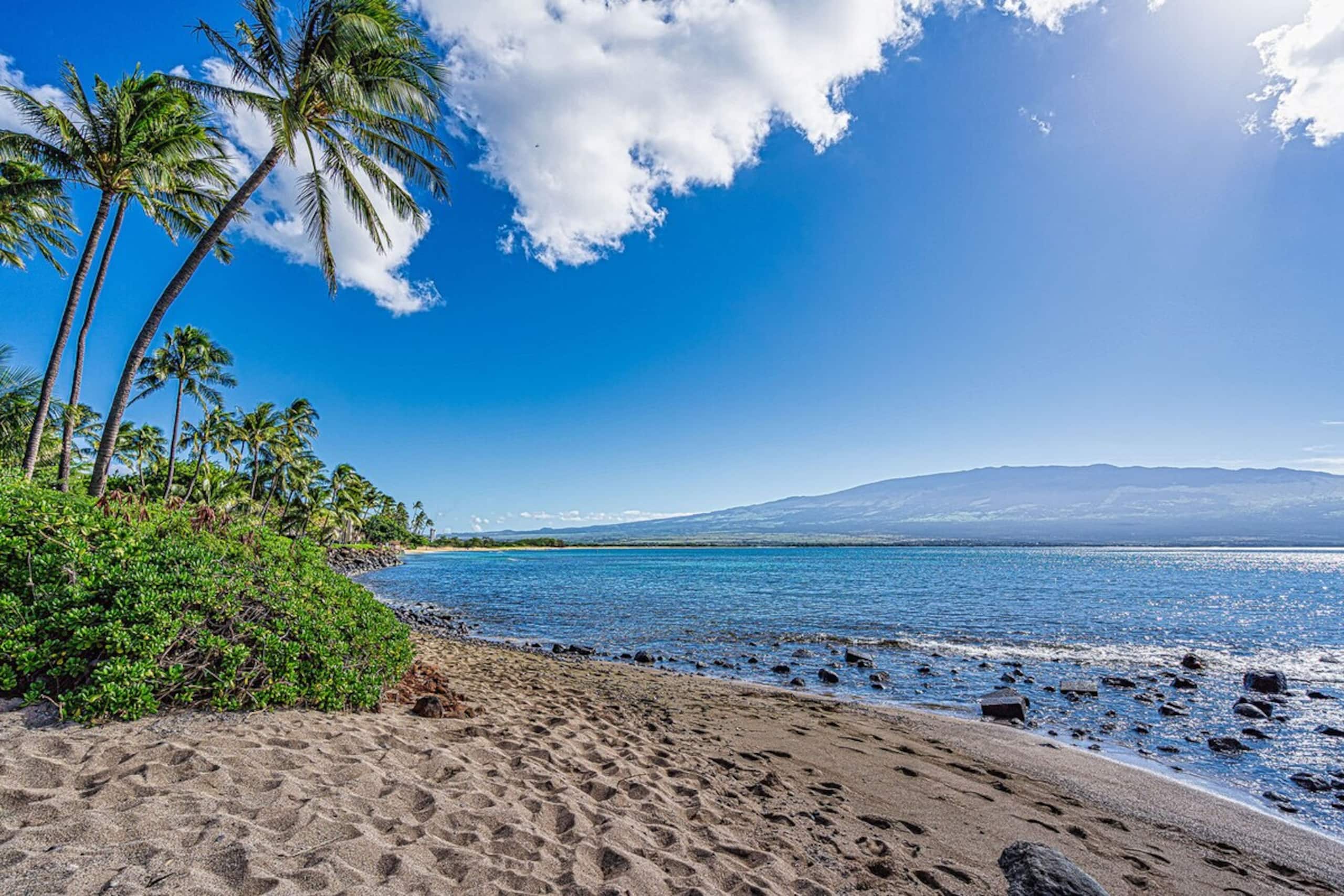 Ocean Front & Budget Friendly Maalaea Banyans 204 - Photo 49