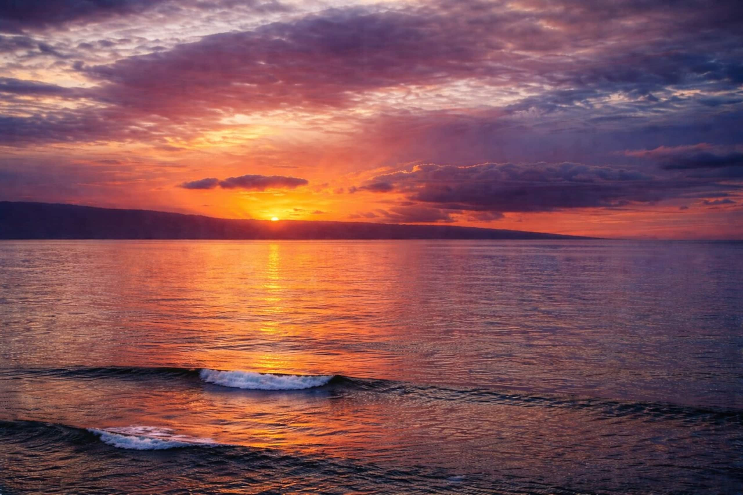New Listing Oceanfront Maui Getaway - Photo 42