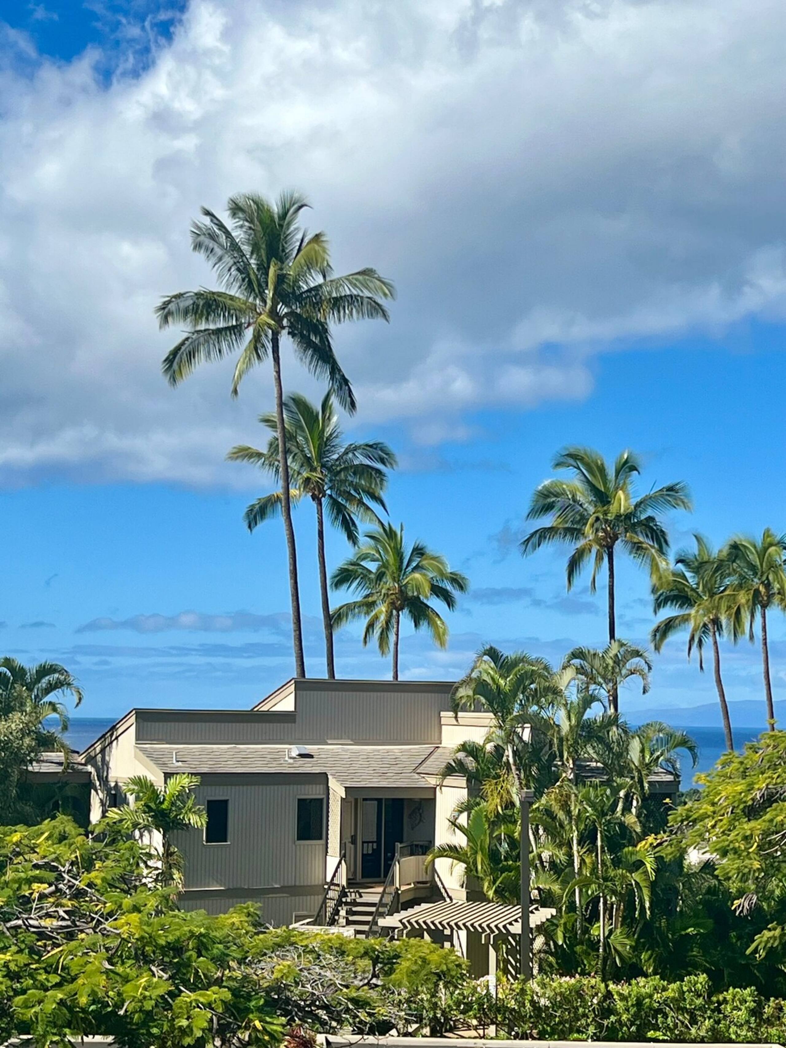 Wailea Ekolu 505, Ocean Views, New Furnishings - Photo 30