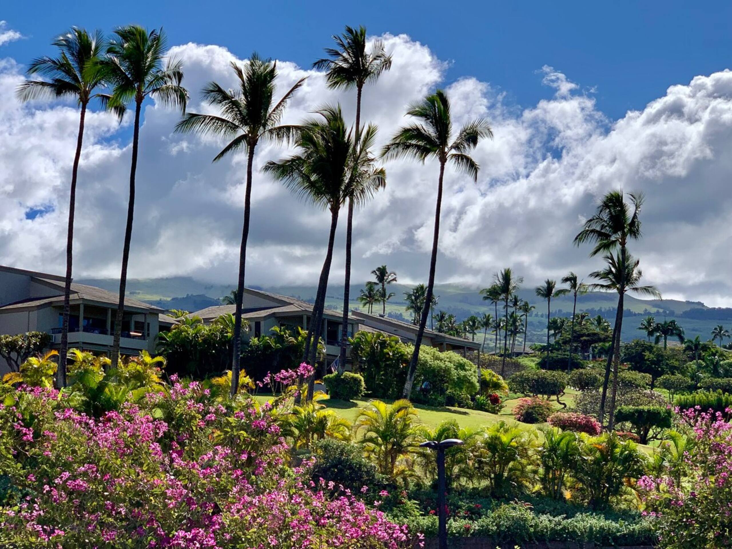 Wailea Ekolu 505, Ocean Views, New Furnishings - Photo 29