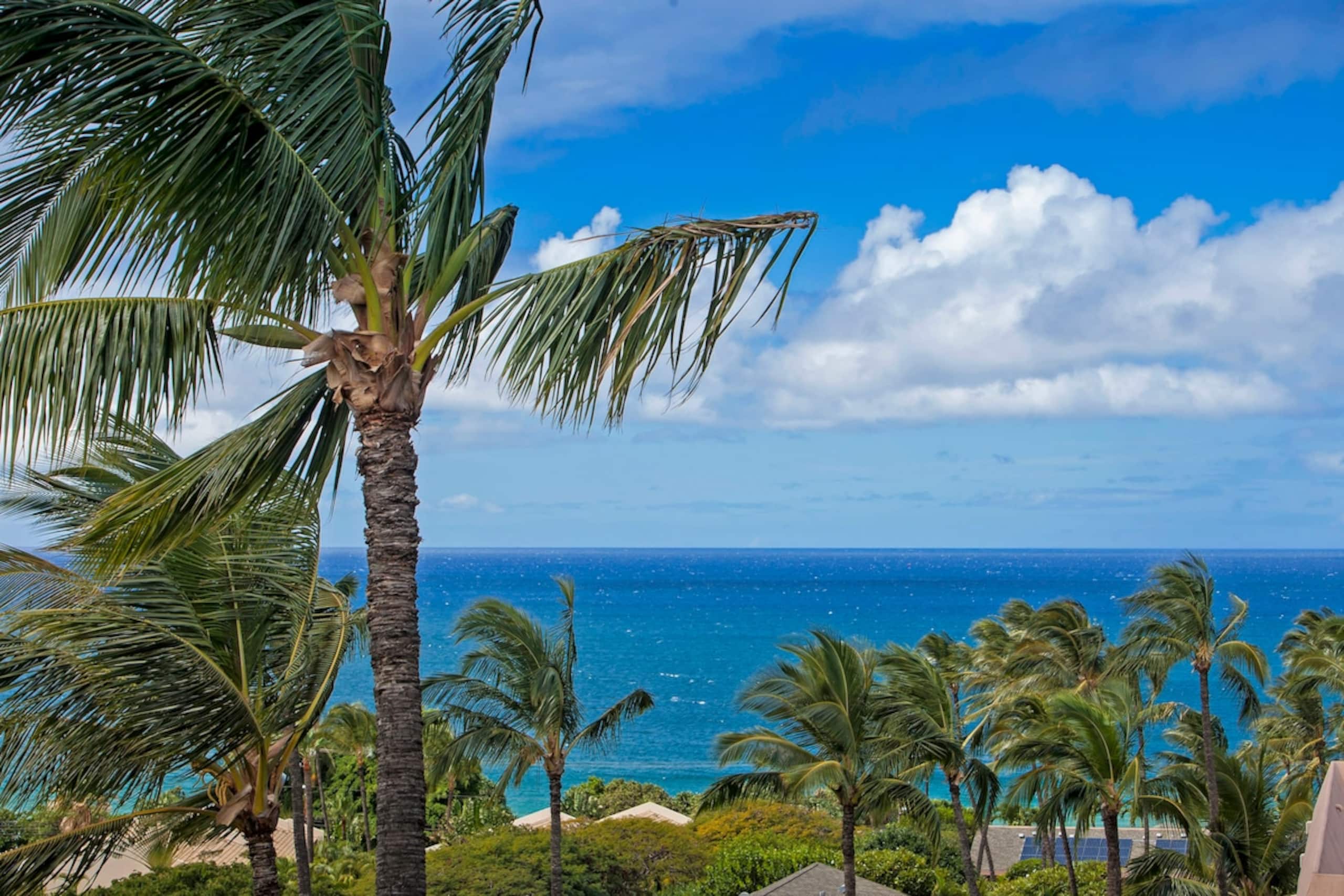 Ocean View Condo With Pool & Beach Access - Photo 43
