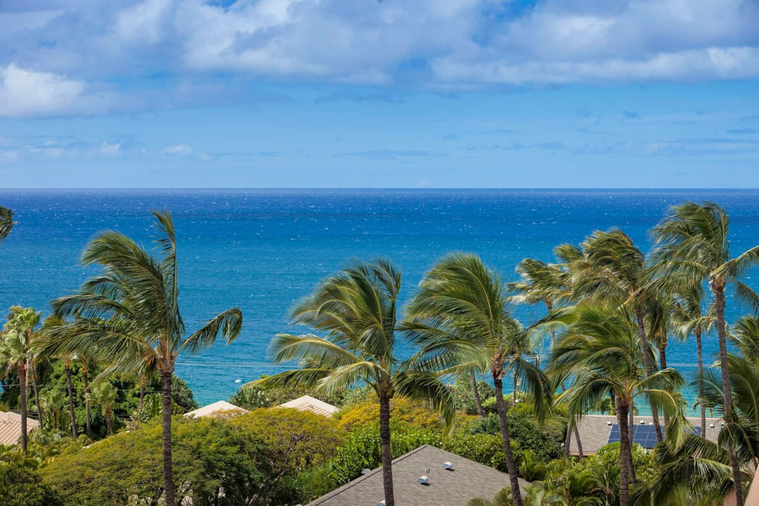 Ocean View Condo With Pool & Beach Access - Photo 41