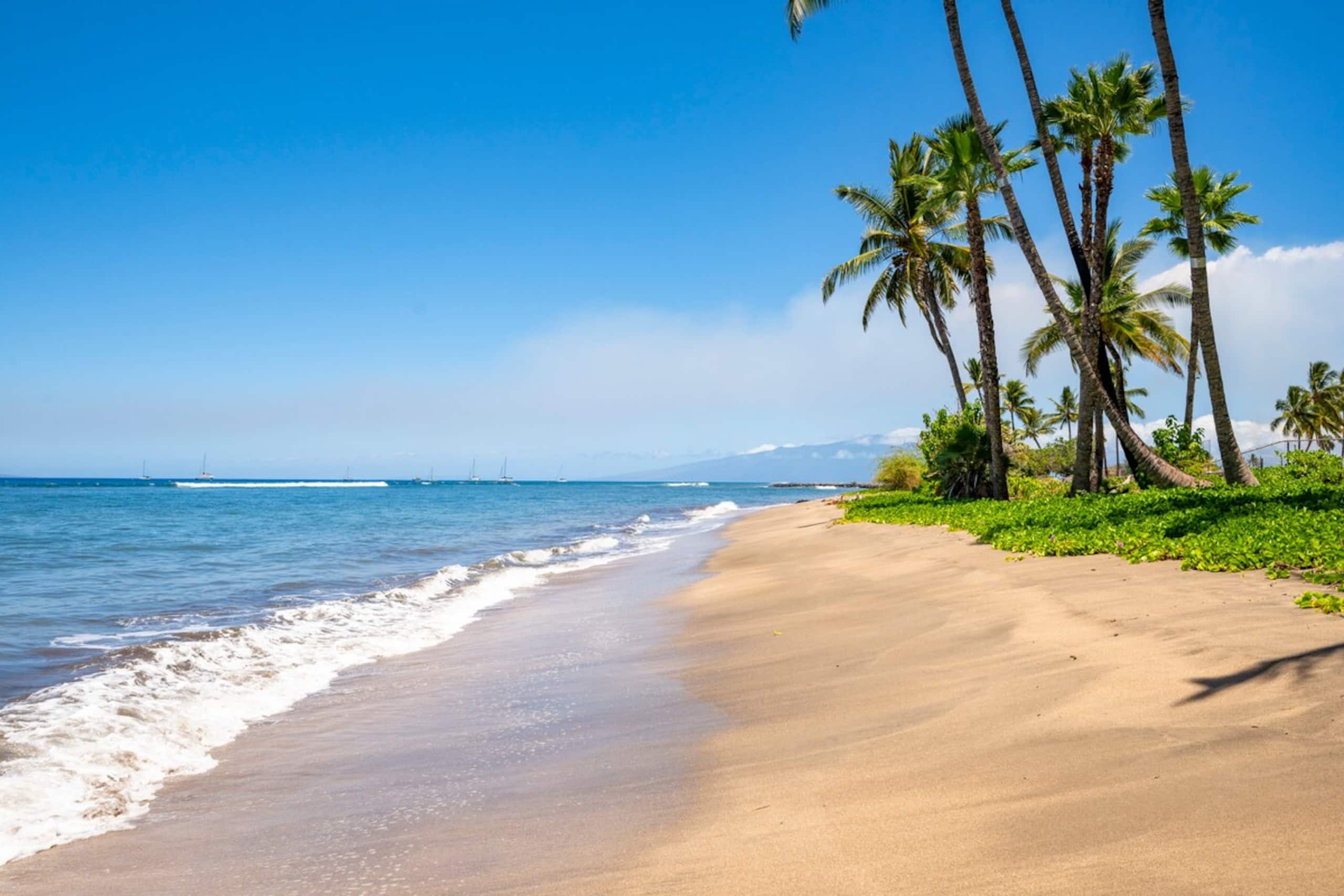 New Listing: Comfort & Beachfront Bliss - Photo 46