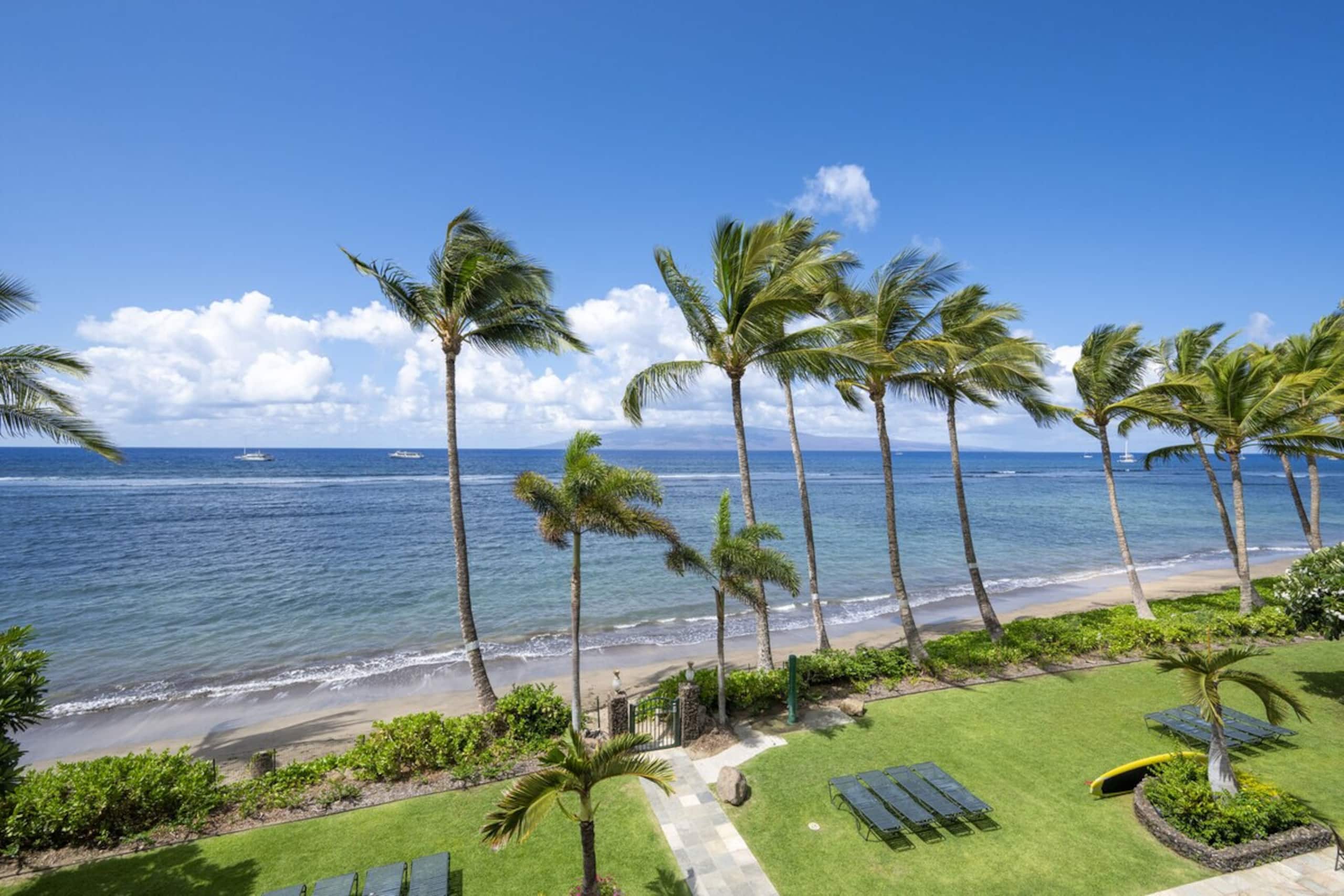 New Listing: Comfort & Beachfront Bliss - Photo 2