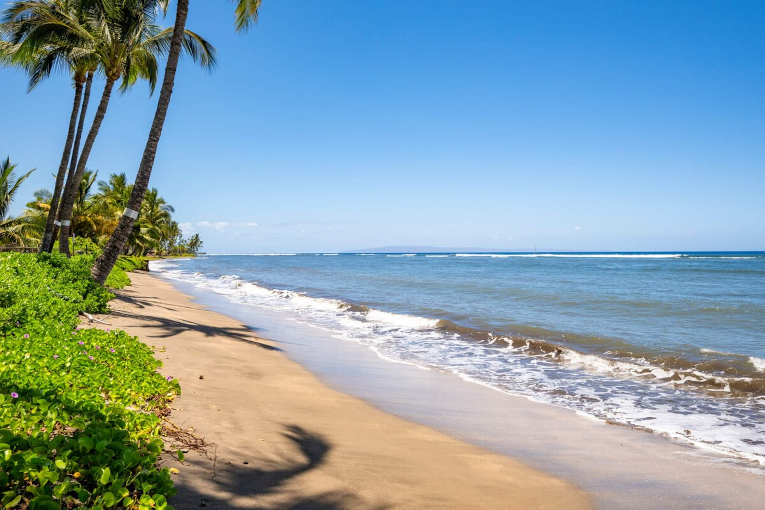 New Listing: Comfort & Beachfront Bliss - Photo 44