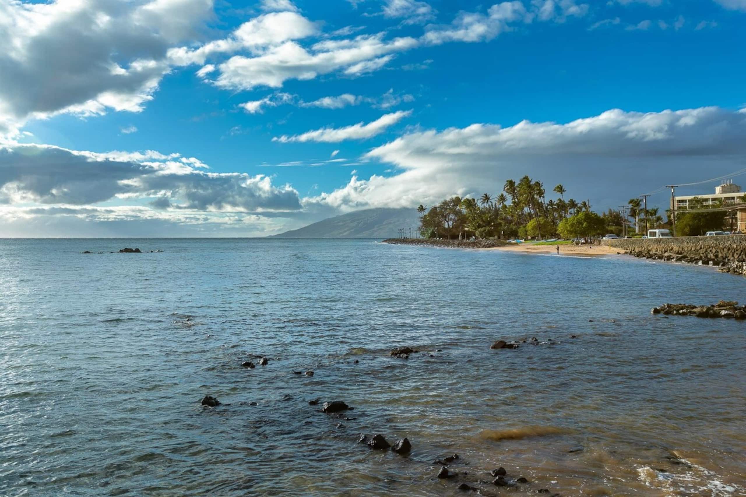 Oceanfront Kihei penthouse with a 32ft lanai - Photo 46
