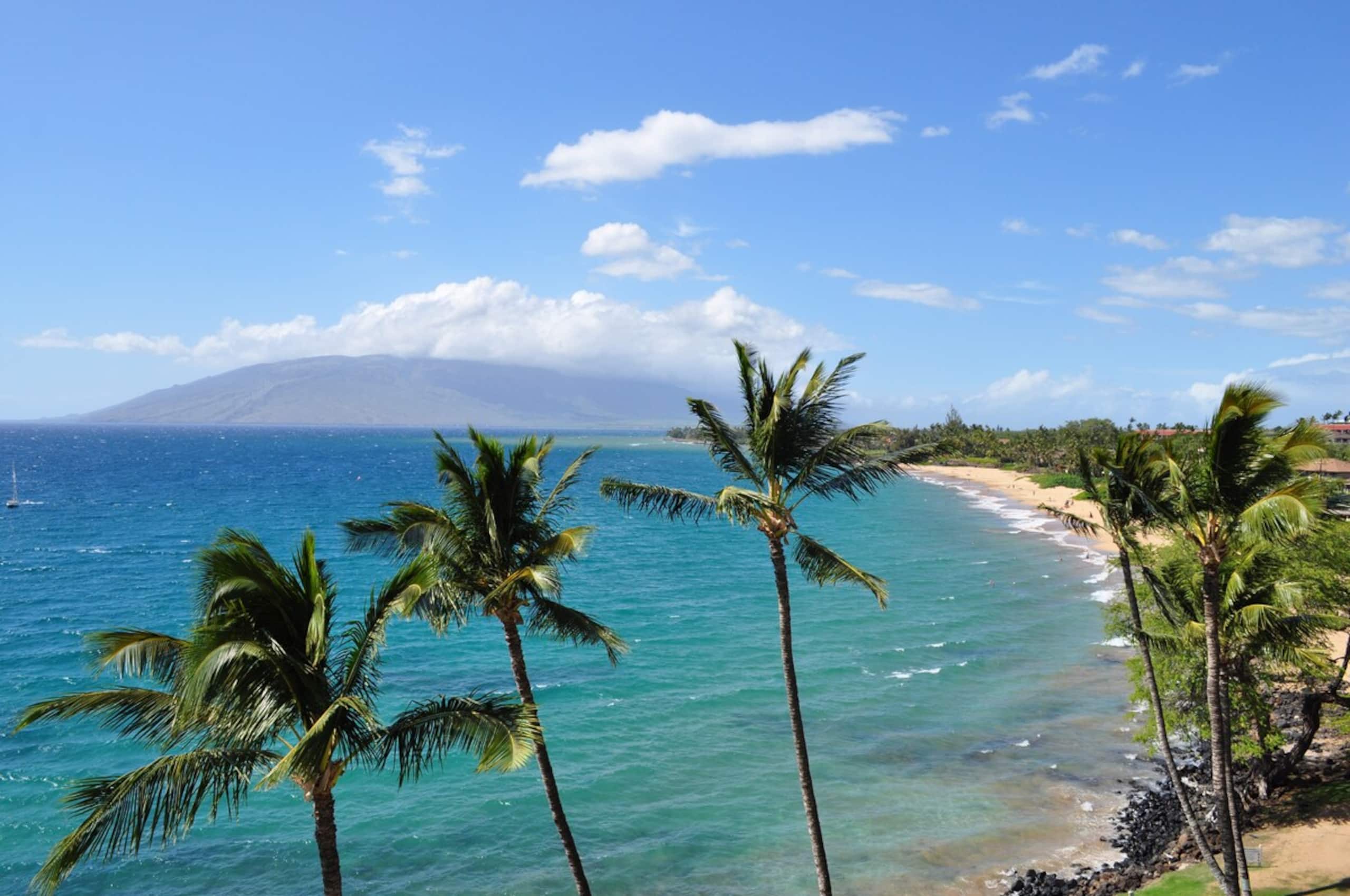 Maui Beachfront Escape With Pool - Photo 41
