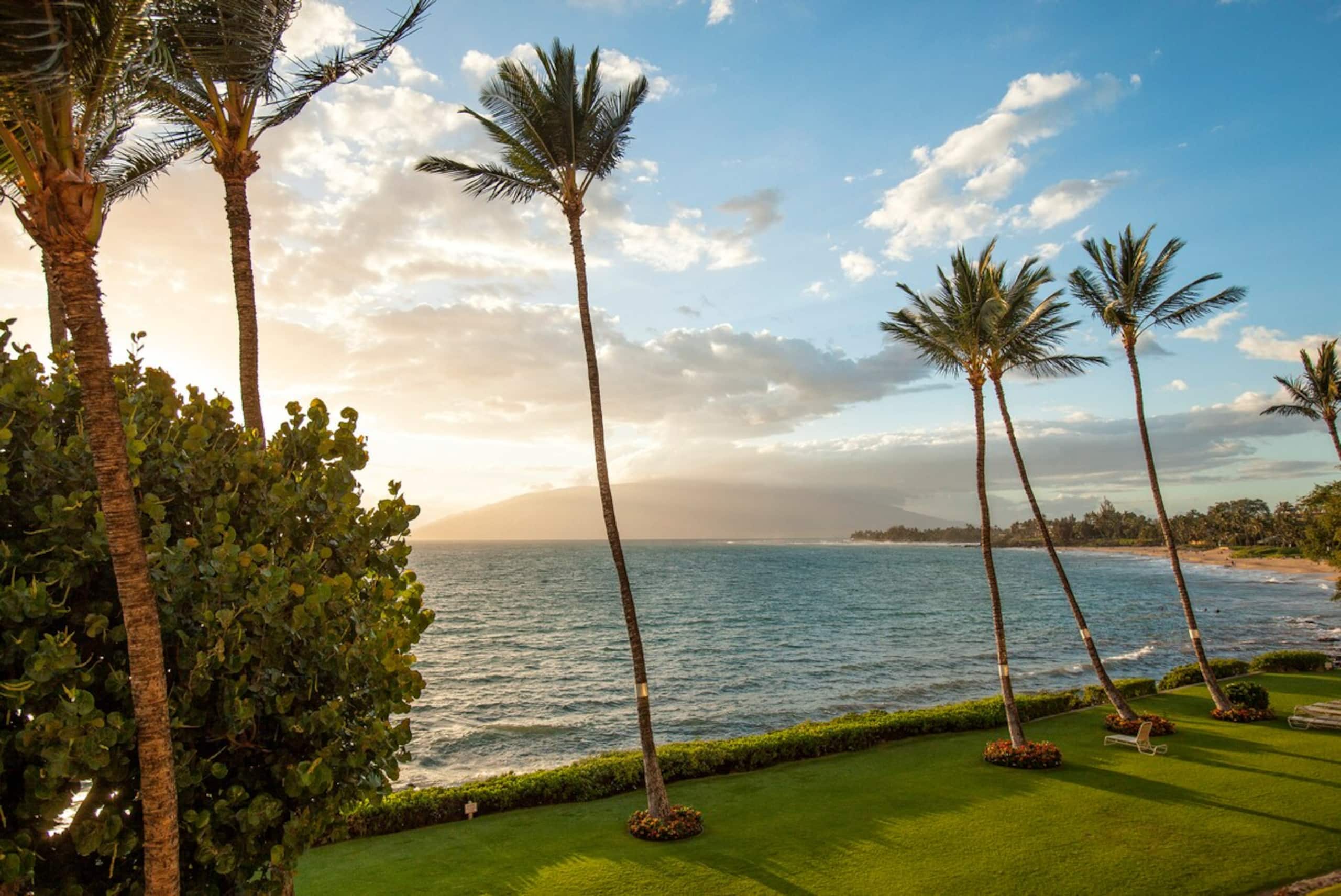 Maui Beachfront Escape With Pool - Photo 37