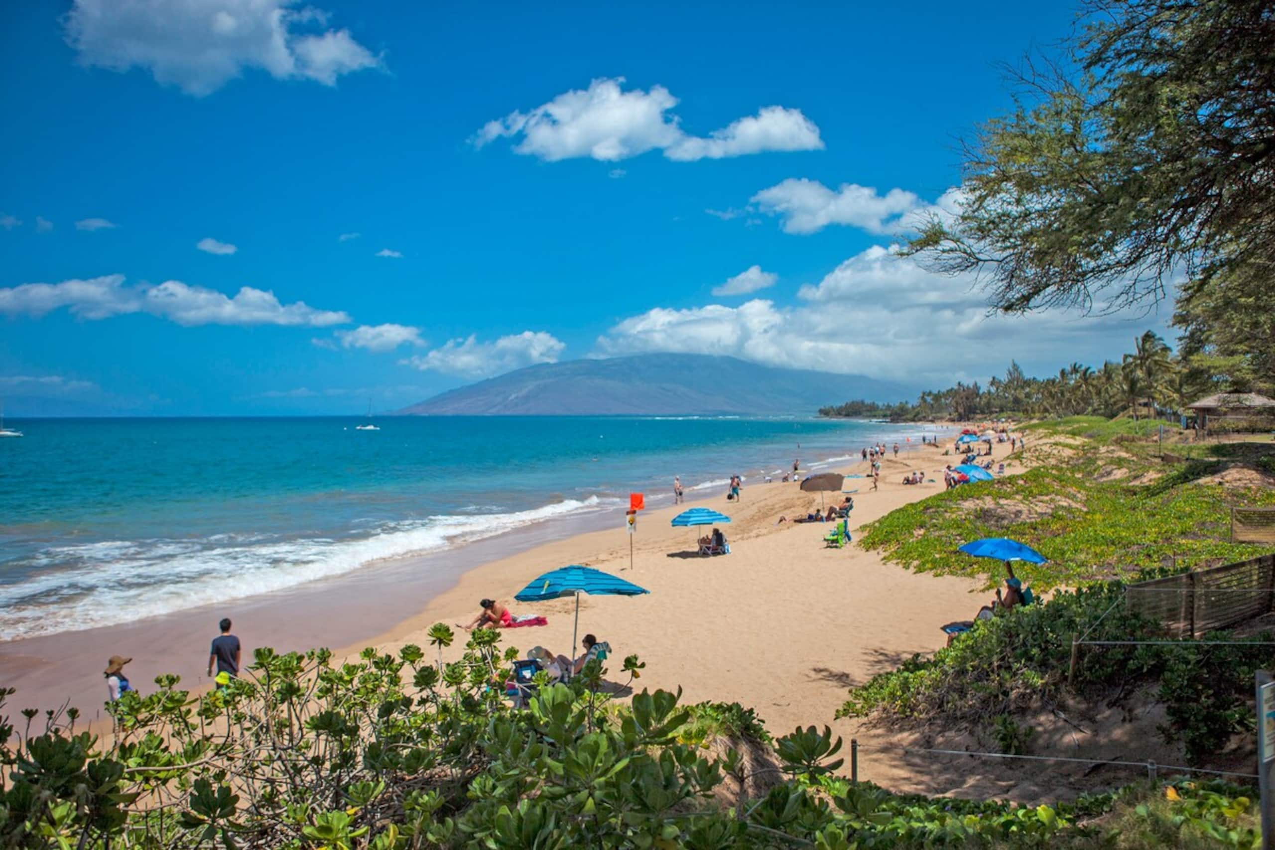 Maui Beachfront Escape With Pool - Photo 35