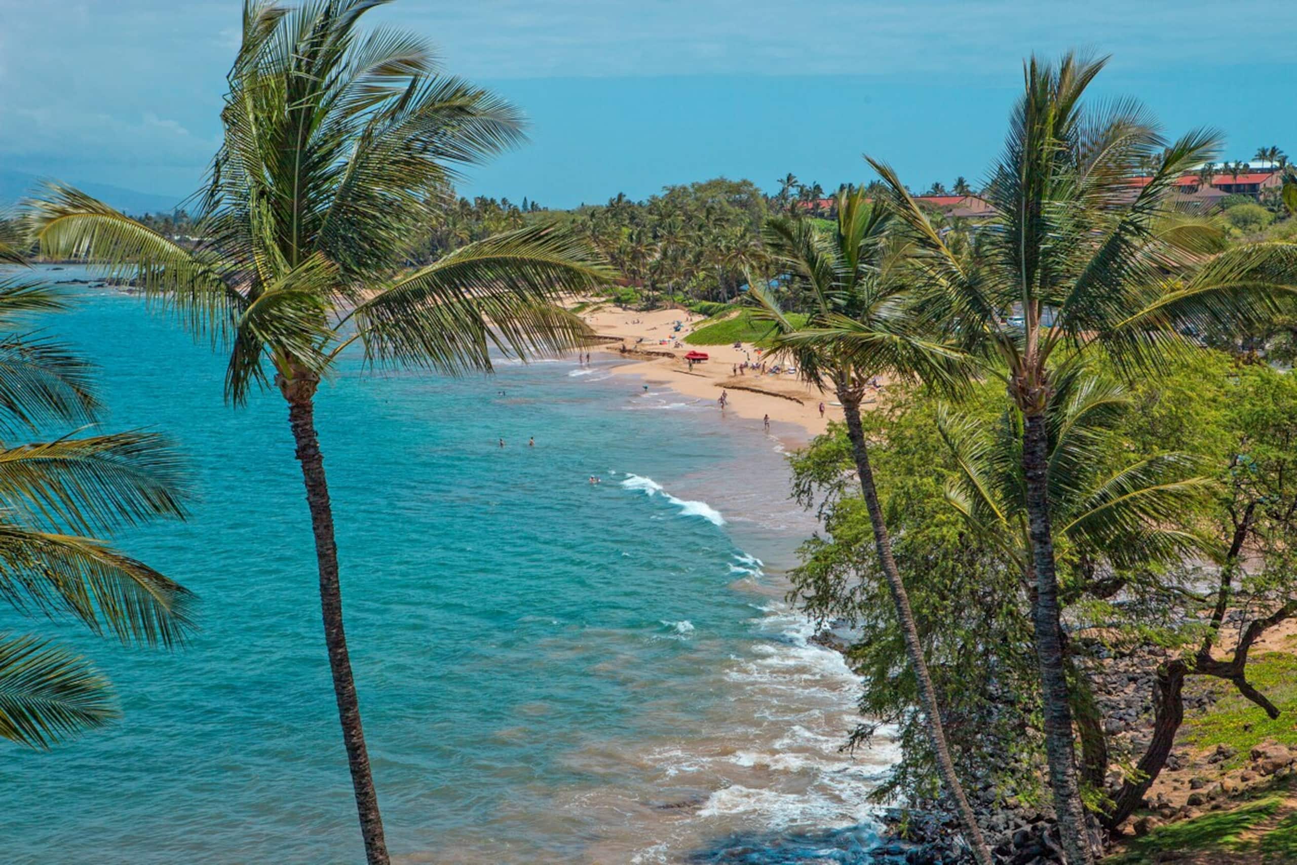 Maui Beachfront Escape With Pool - Photo 39