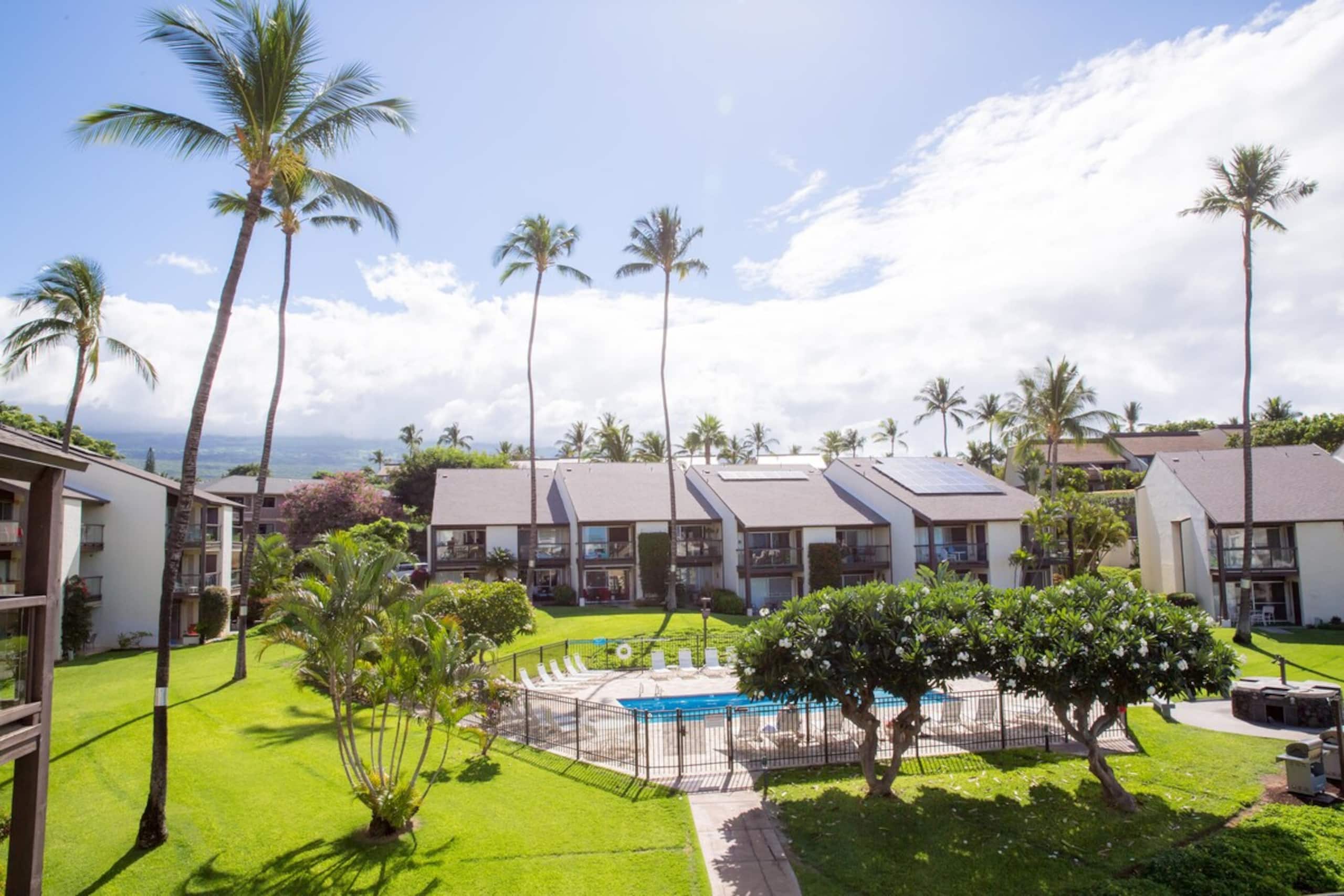 Hale Kamaole 330 - Main photo
