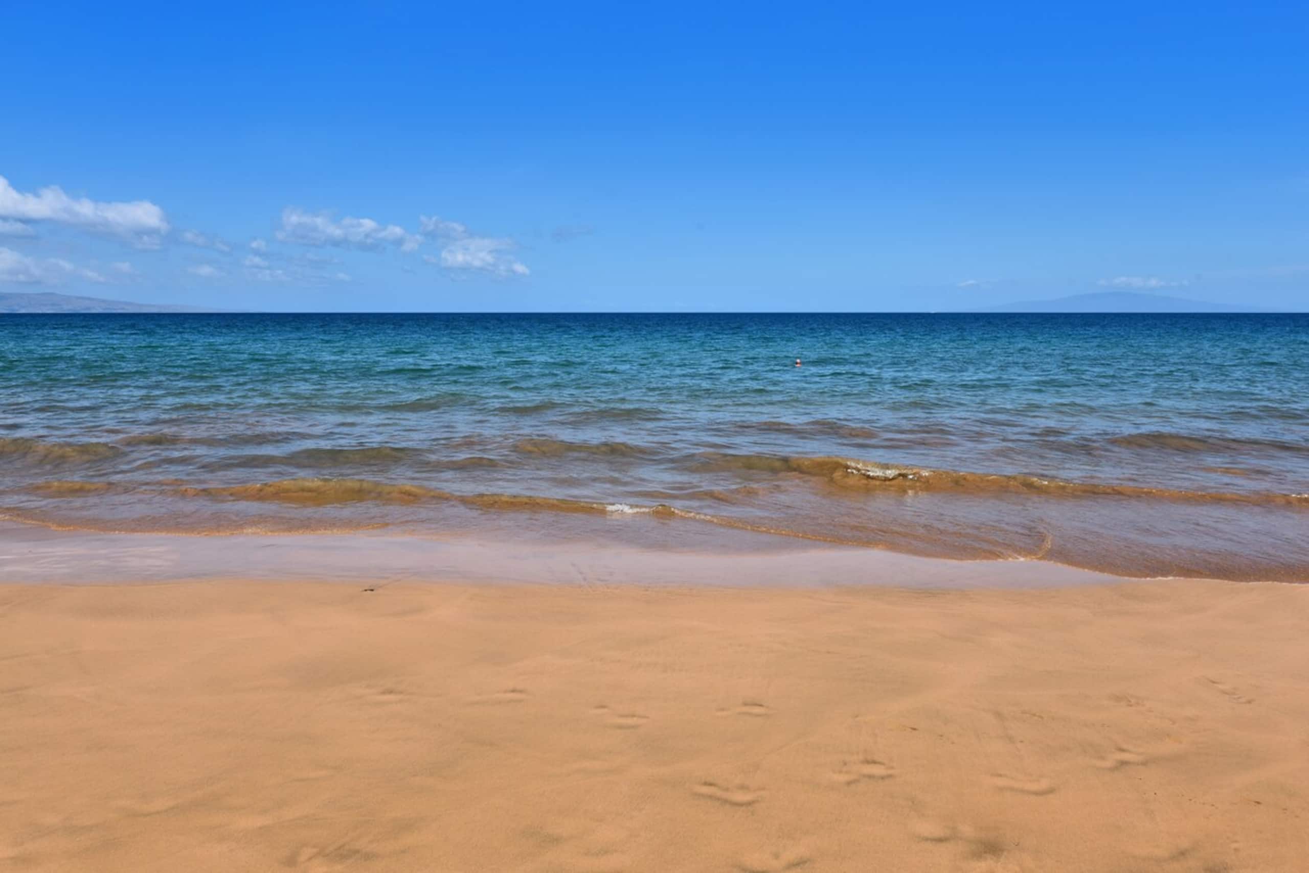 KKN 13231 New Listing Condo w Pool across beach - Photo 56