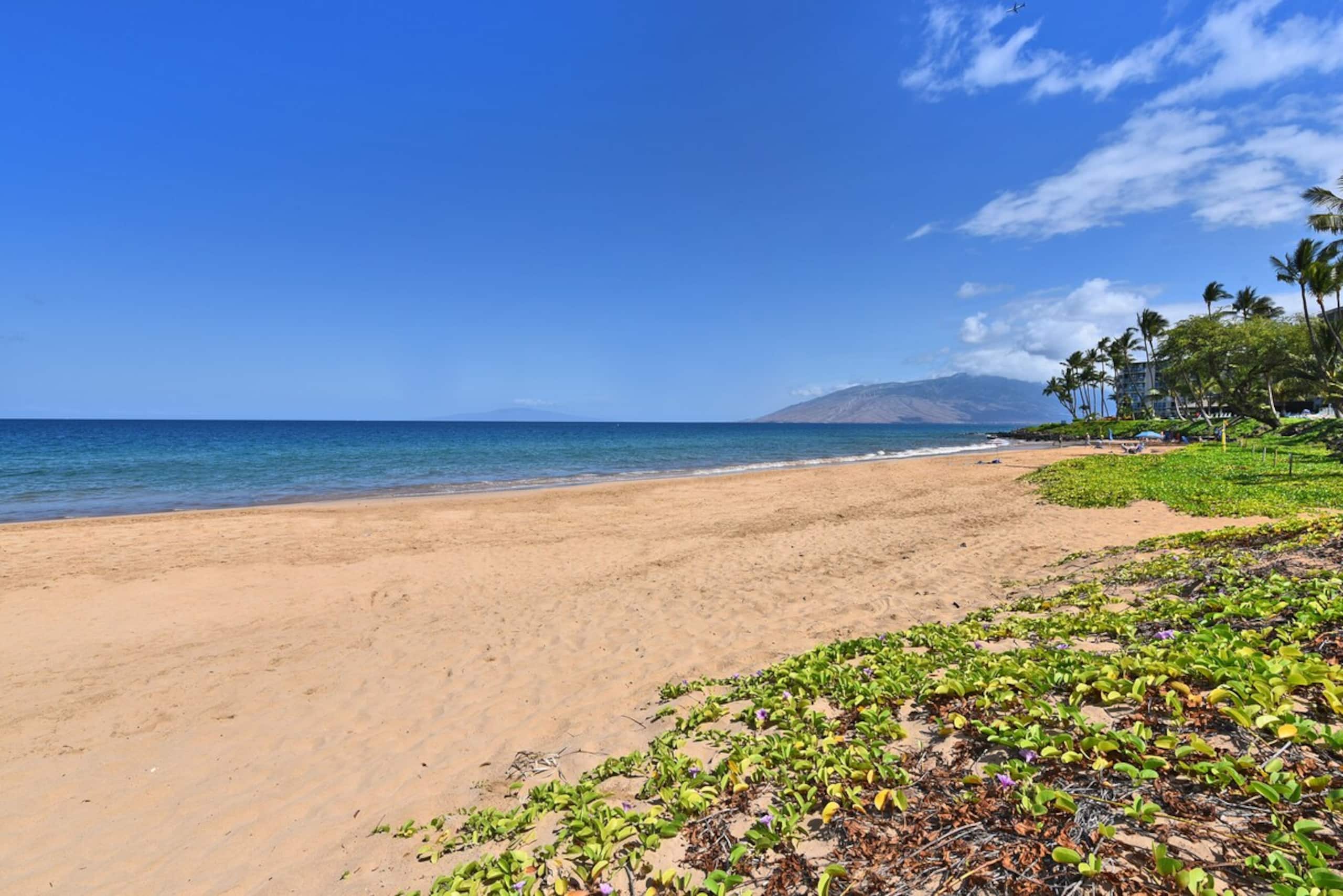 KKN 13231 New Listing Condo w Pool across beach - Photo 53