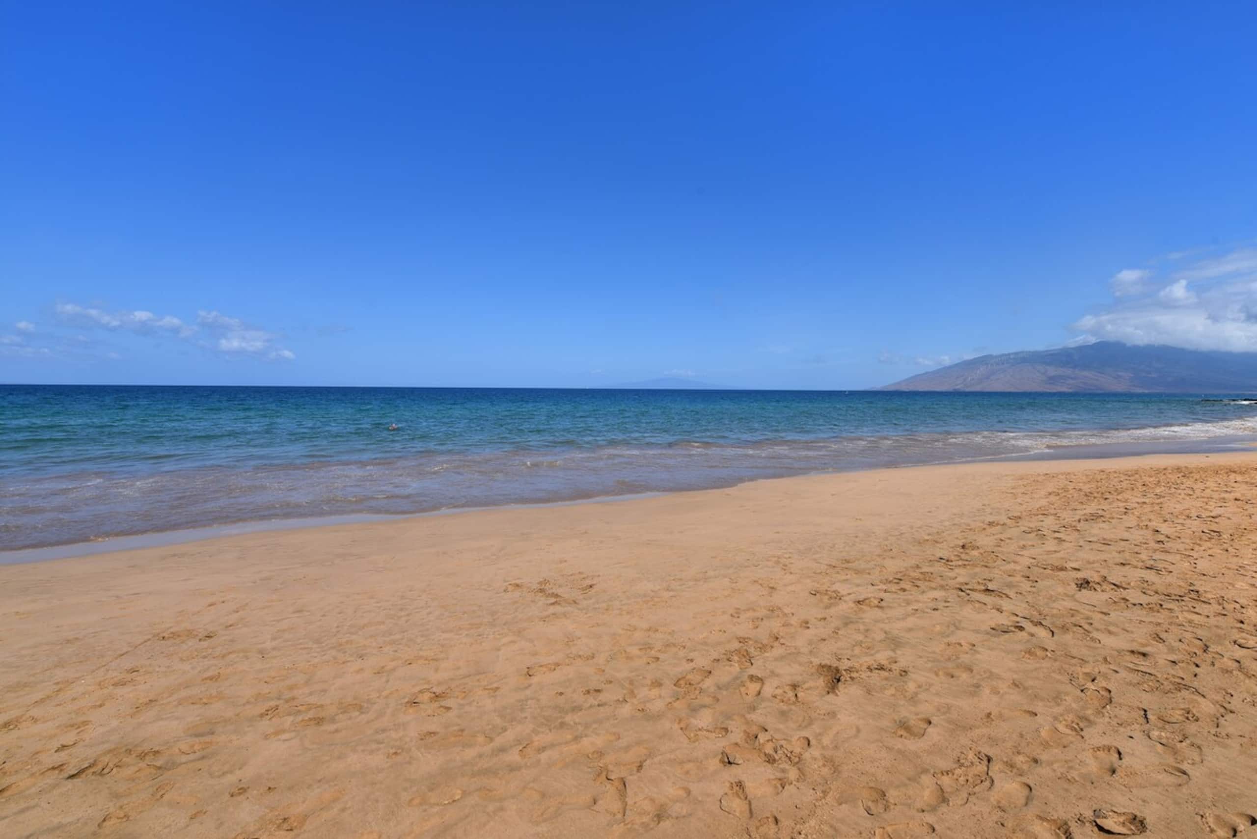KKN 13231 New Listing Condo w Pool across beach - Photo 57