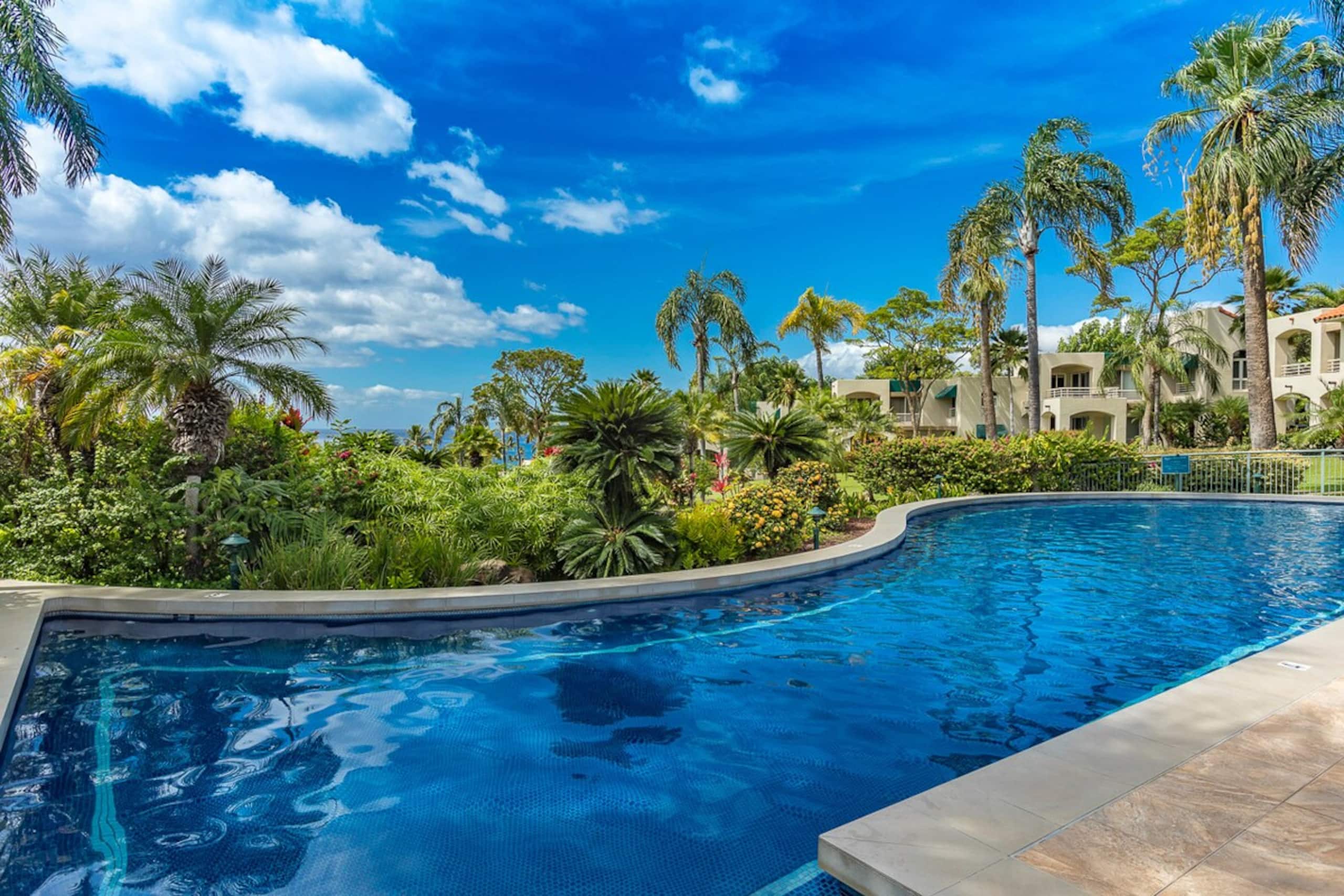 Wailea condo w/ sunset views and pool access - Photo 36