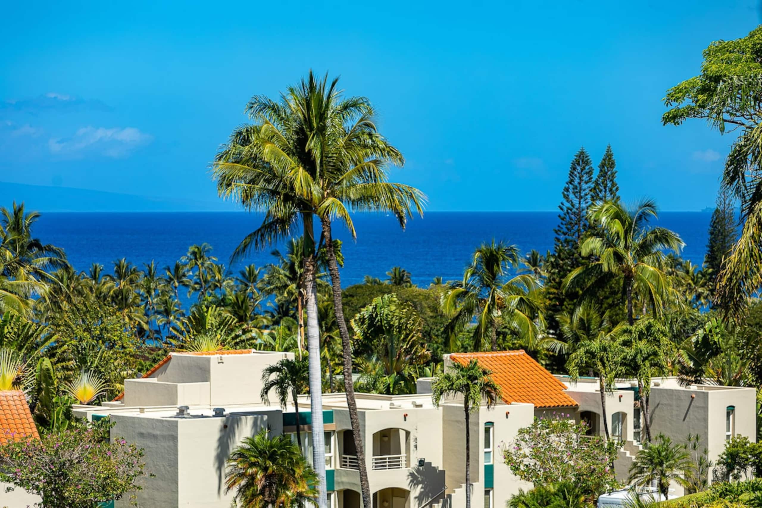 Wailea condo w/ sunset views and pool access - Photo 46