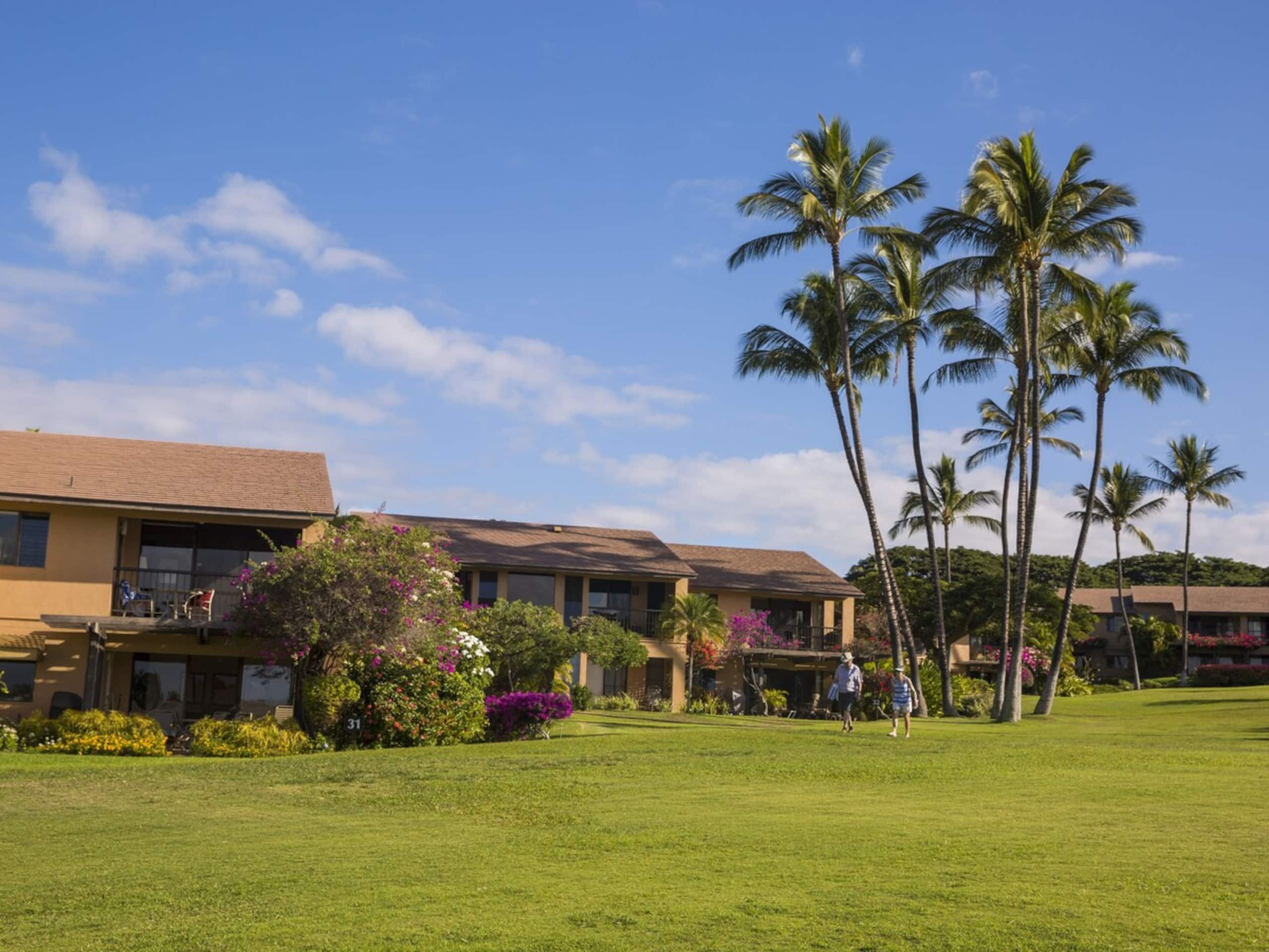 Wailea Ekahi 11C, Snorkeling & Waves Out Front - Photo 33