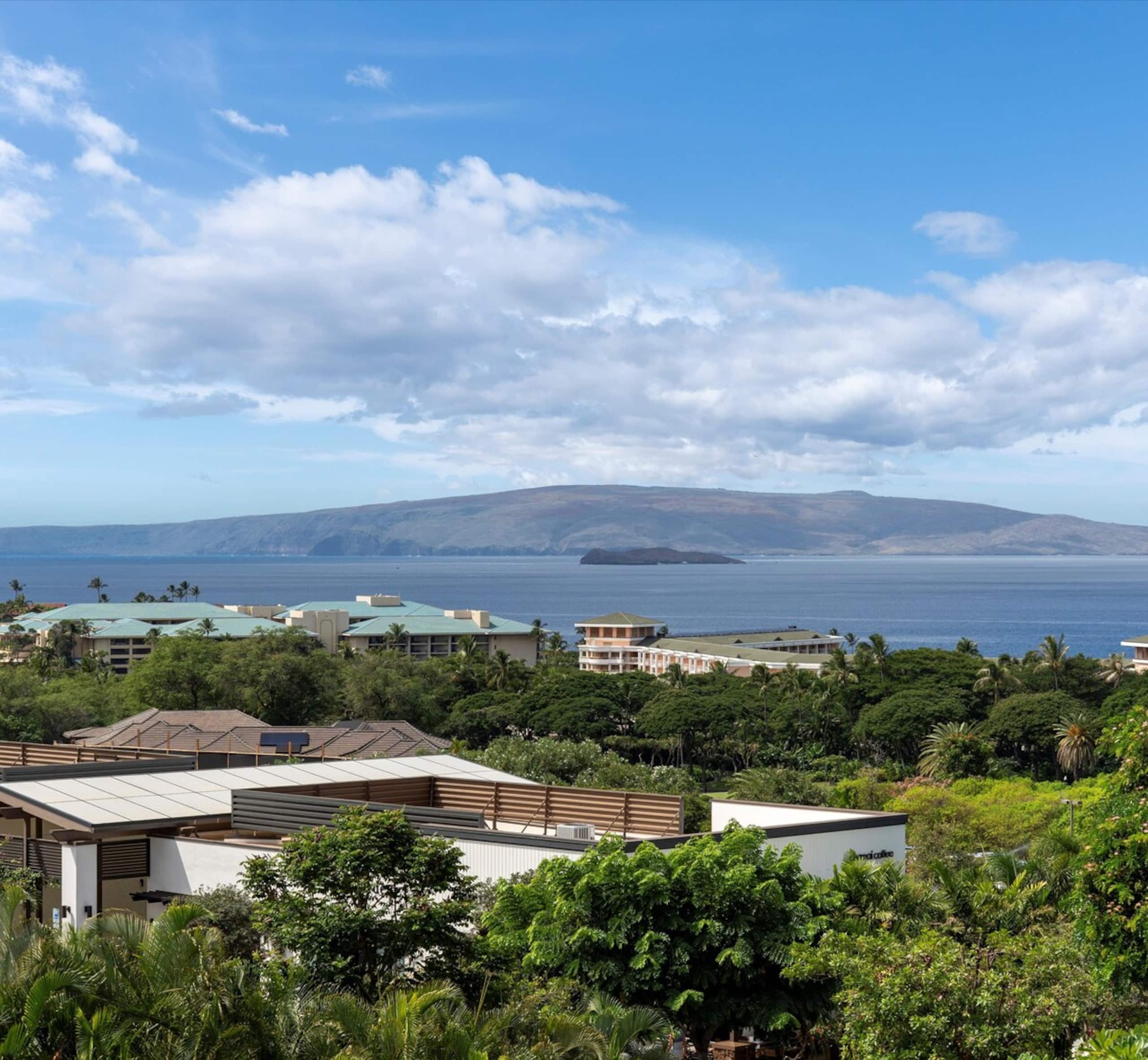 Ocean view condo w/ 2 king beds near beach - Photo 7