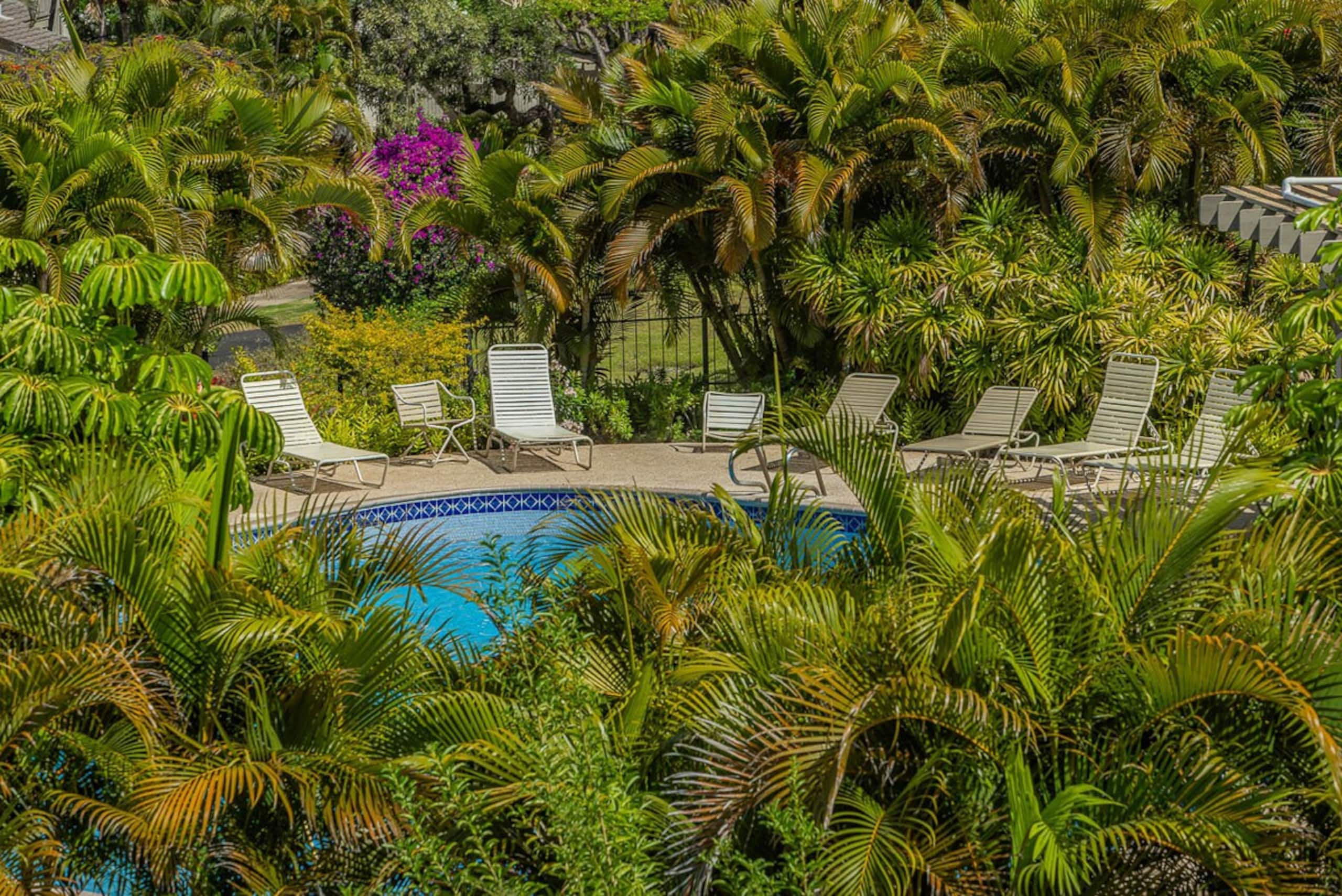 Ocean view condo w/ 2 king beds near beach - Photo 42