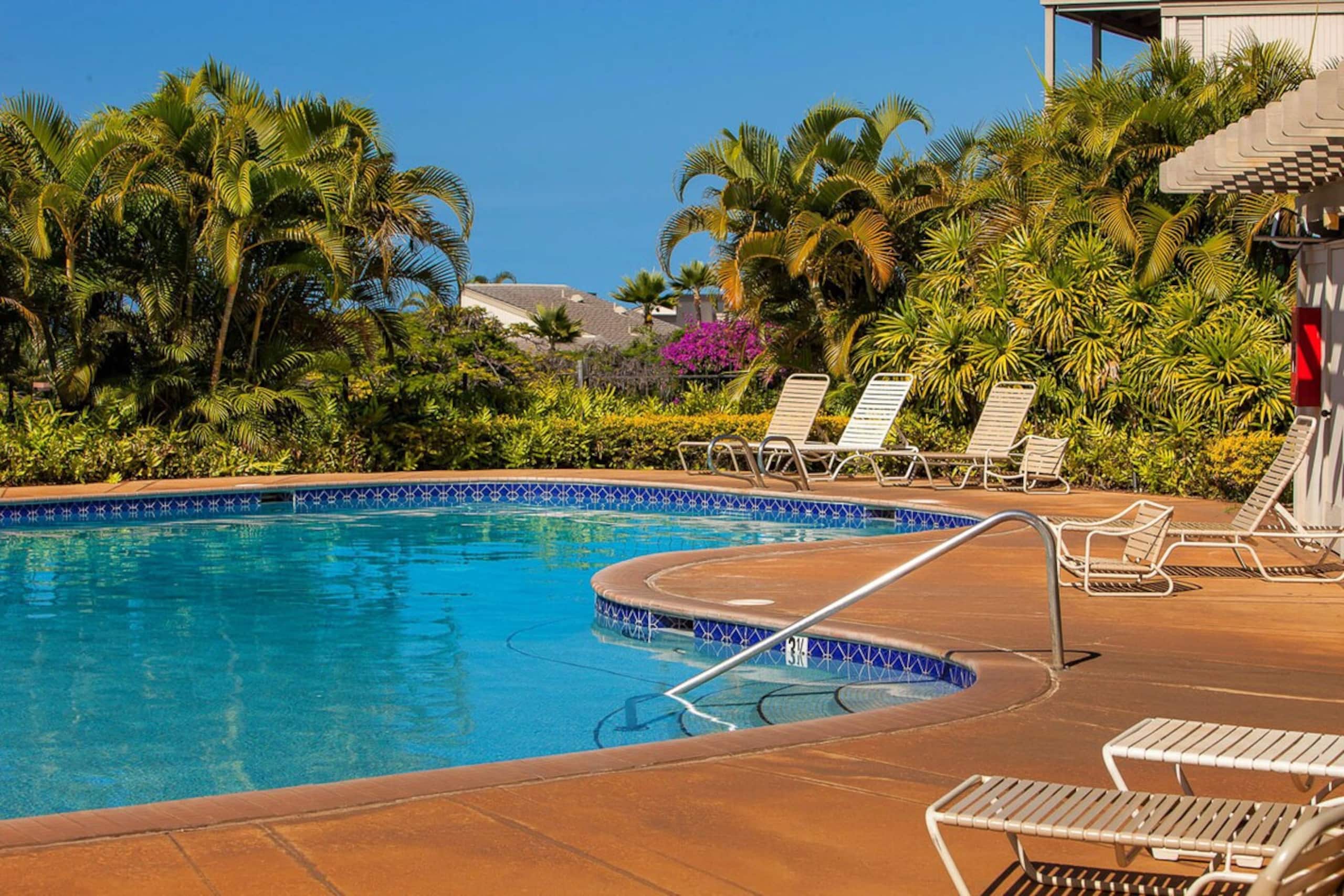 Ocean view condo w/ 2 king beds near beach - Photo 50