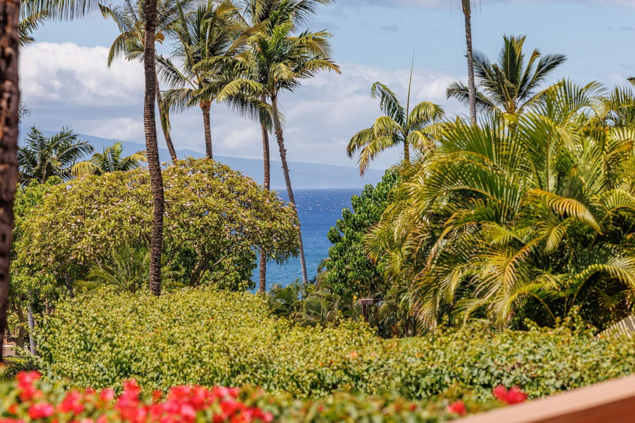 Tranquil Retreat surrounded by Tropical Garden - Photo 43