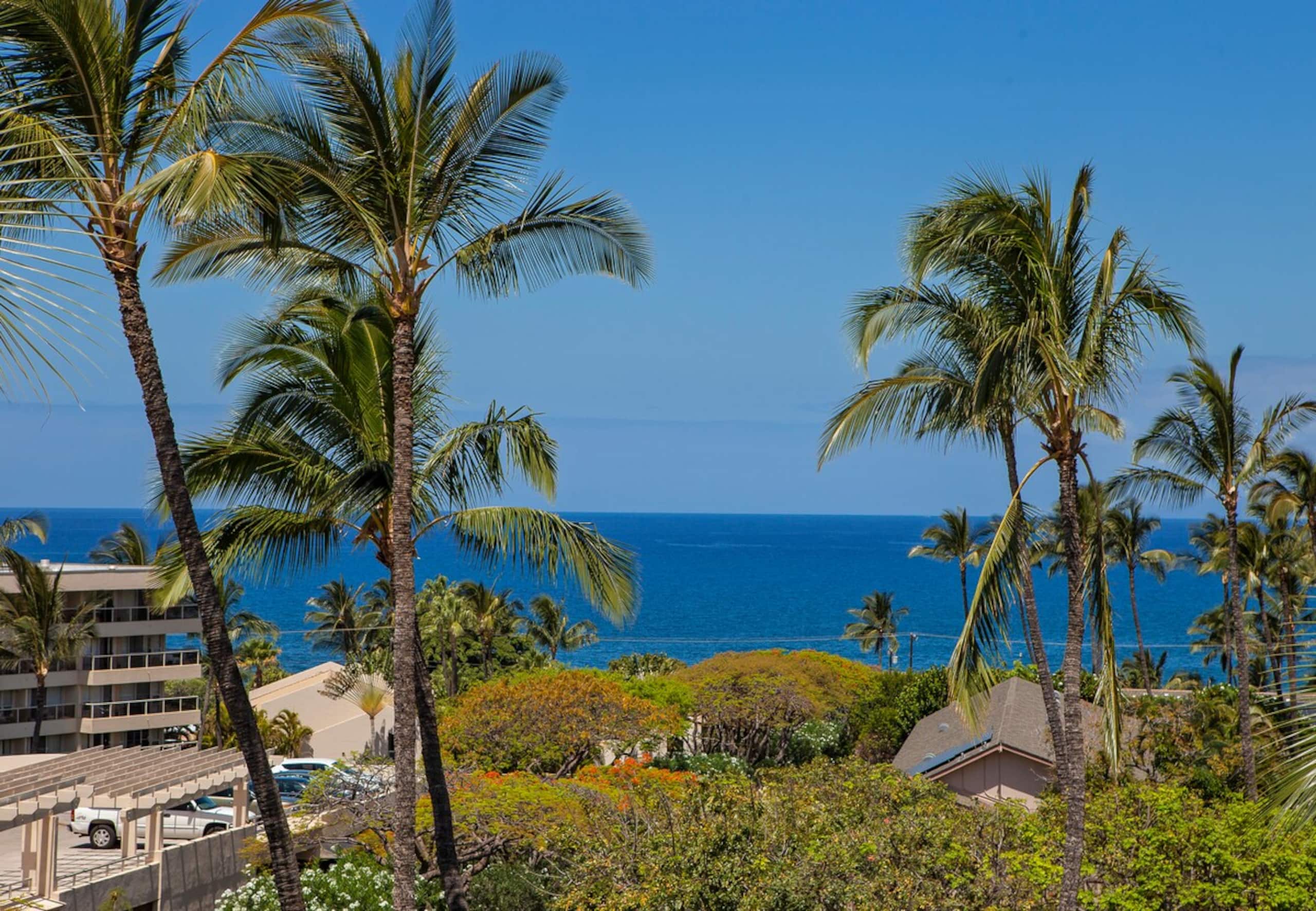 Tropical Escape Poolside Condo with Beach Access - Photo 31