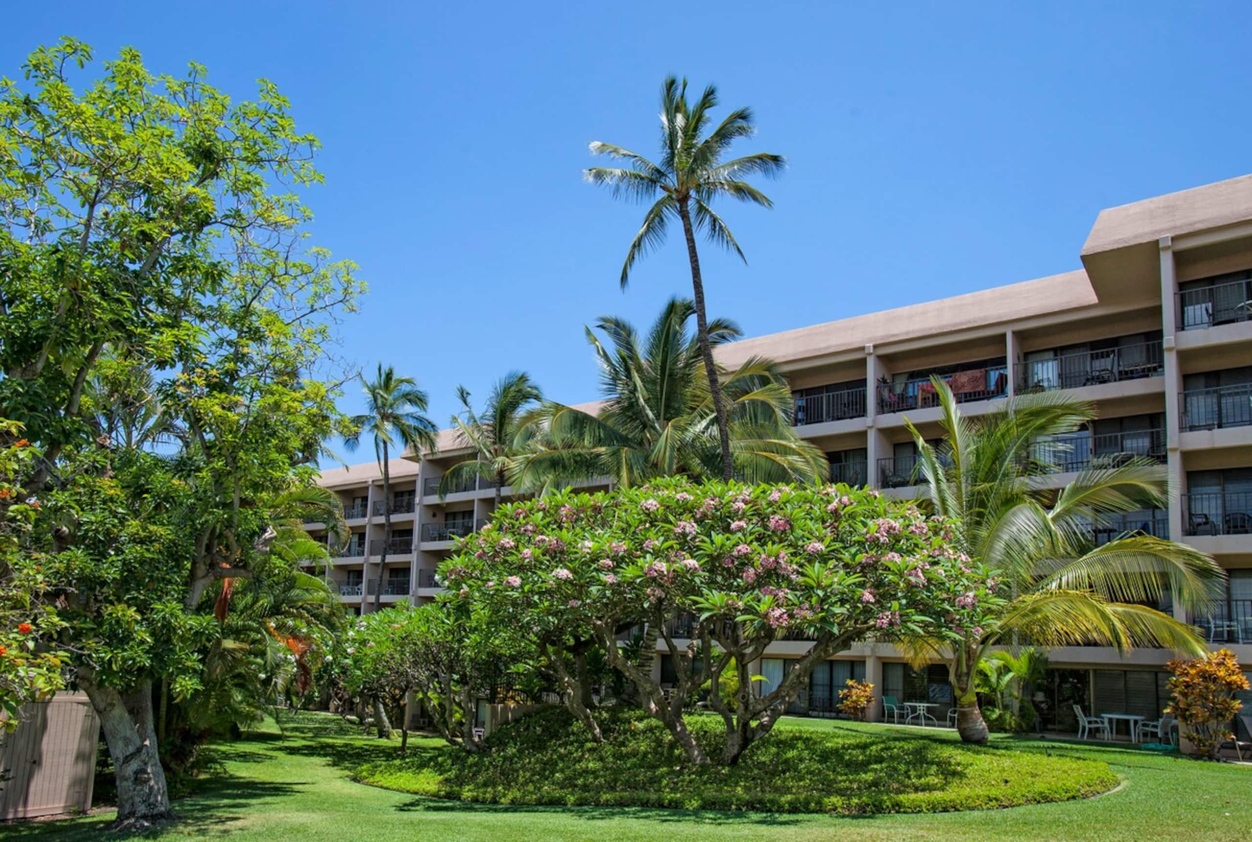 Tropical Escape Poolside Condo with Beach Access - Photo 33