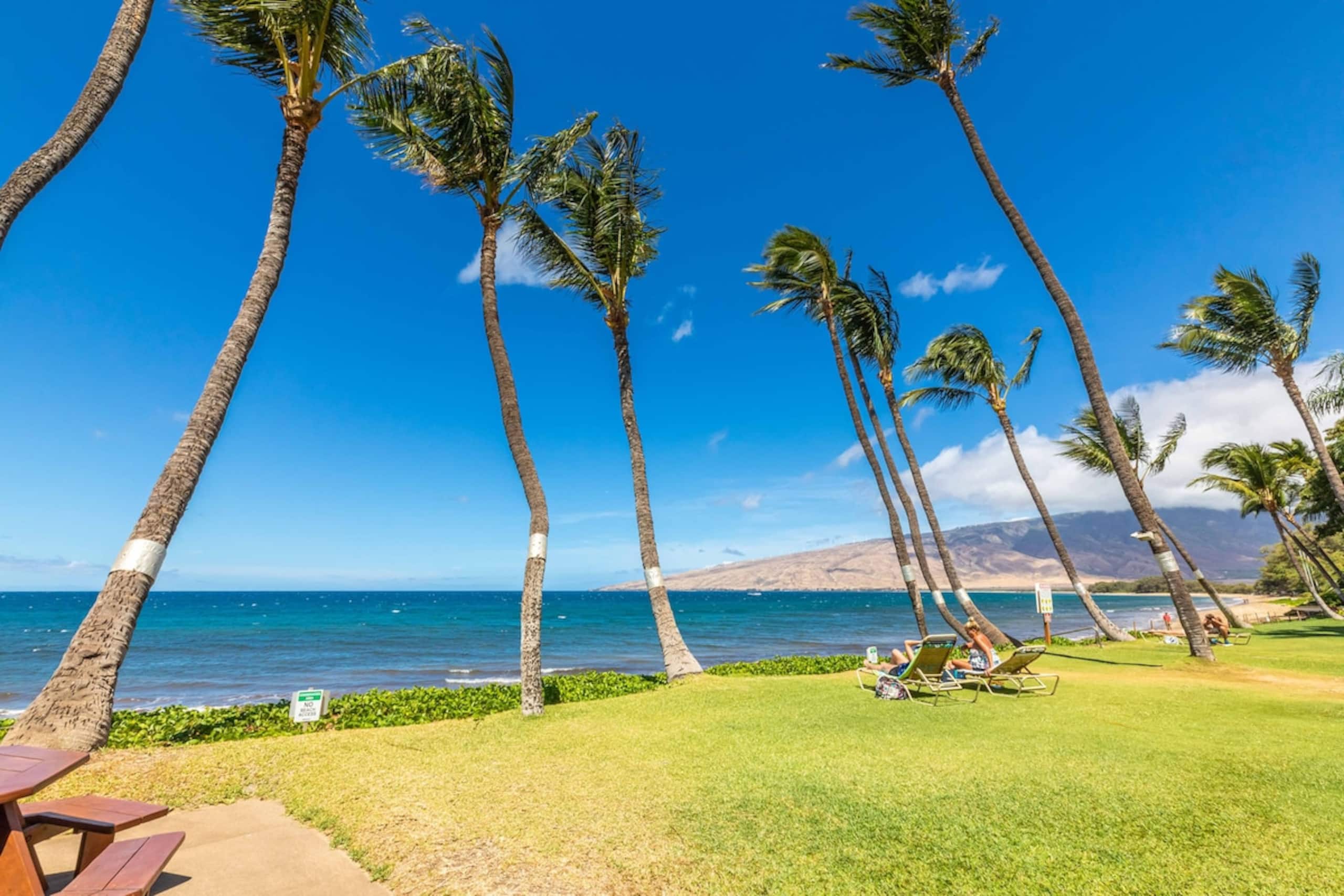 Ocean Front/Ocean View Condo on Maui's Sugar Beach - Photo 30
