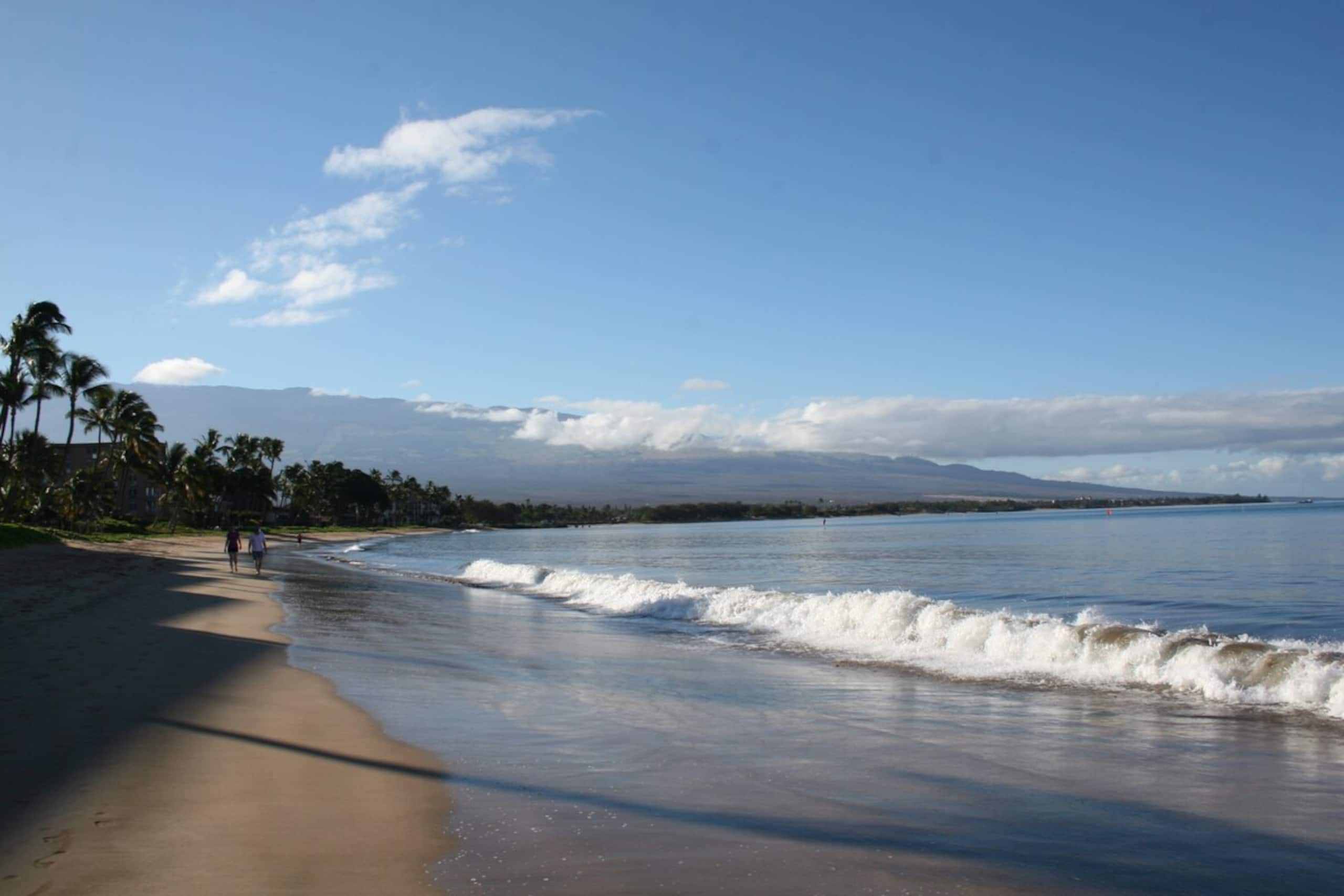 Steps Away From the Ocean - Sugar Beach 319 - Photo 18