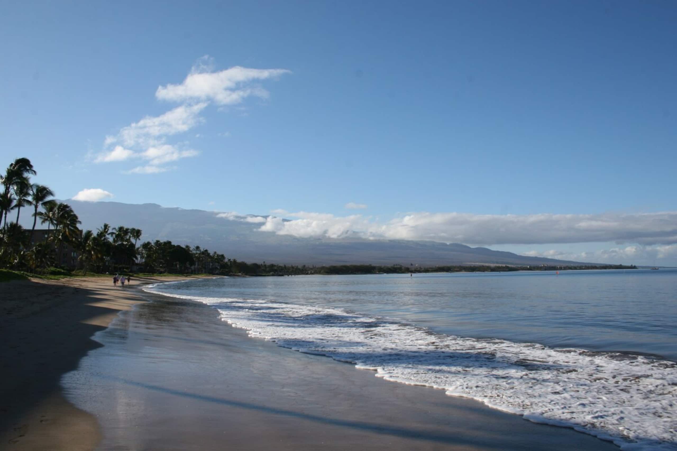 Steps Away From the Ocean - Sugar Beach 319 - Photo 17